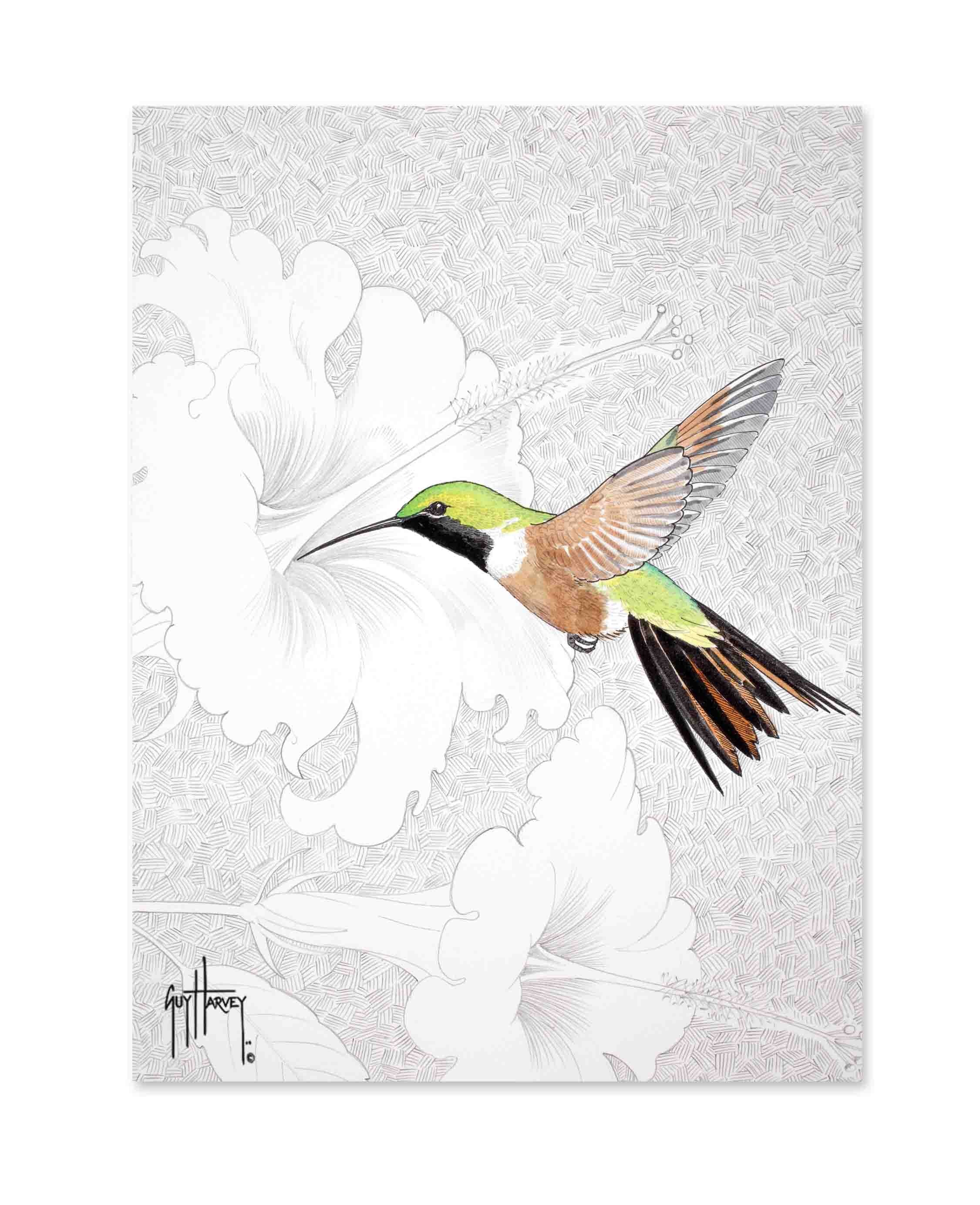 "Bahamas Woodstar" Limited Edition Print - Image 2