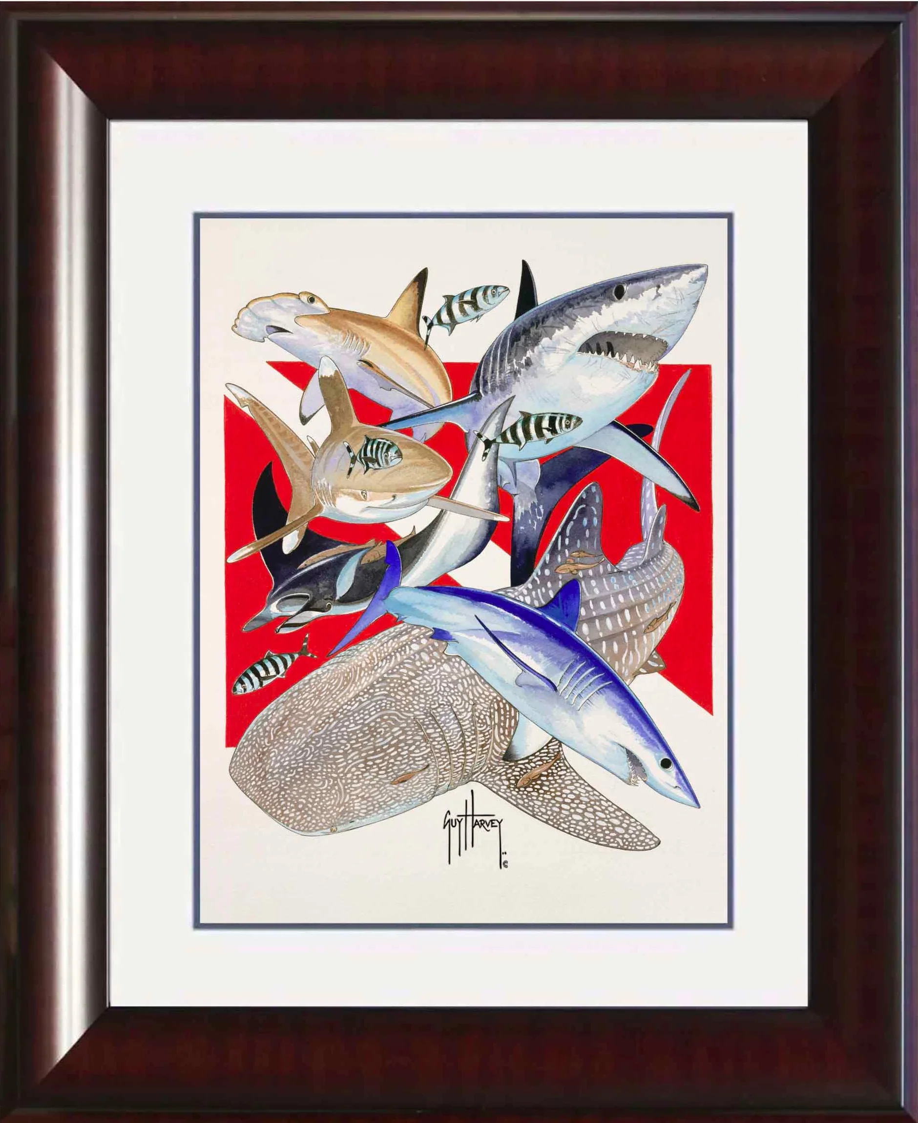 "Big Animal Dive" Grande Mini Print