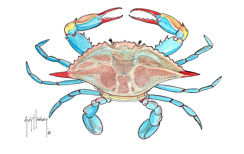 "Blue Crab I" Original