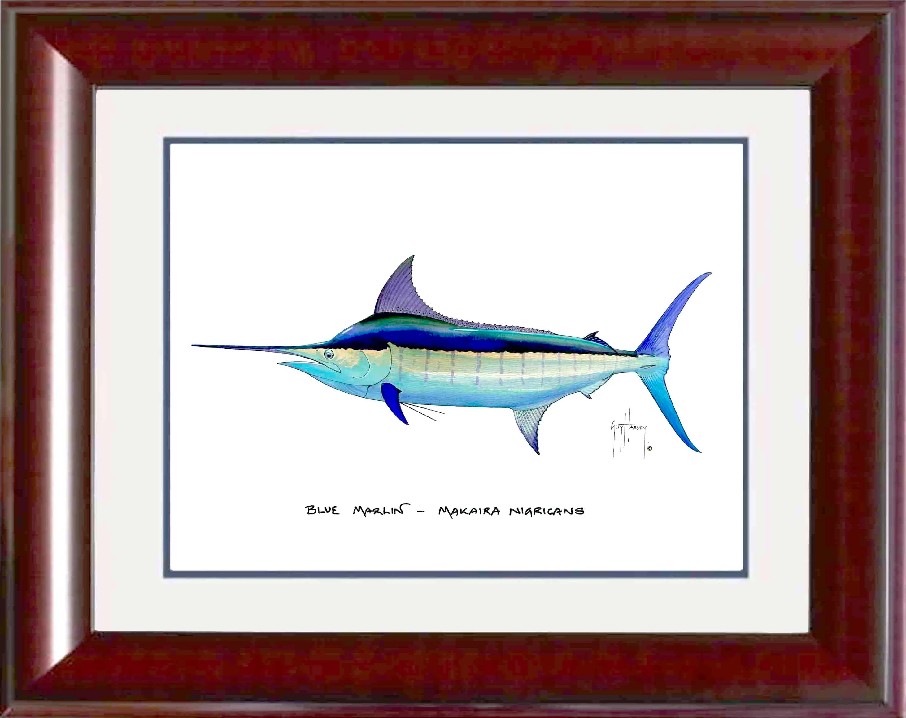 "Blue Marlin" Grande Mini Print