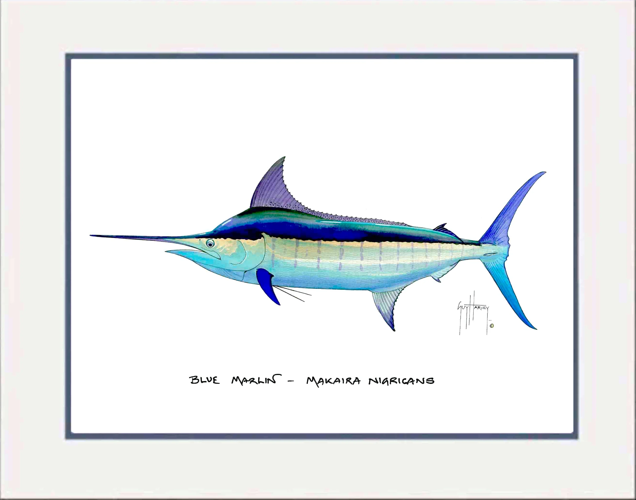 "Blue Marlin" Grande Mini Print - Image 2