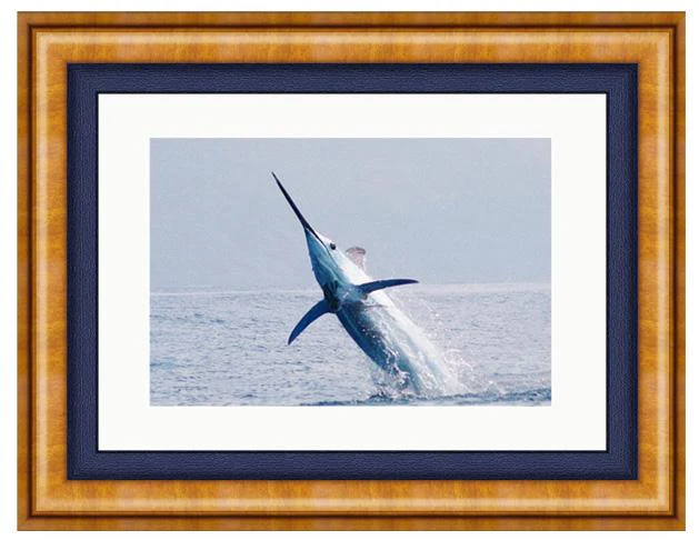 BLUE MARLIN PHOTO ART FRAMED