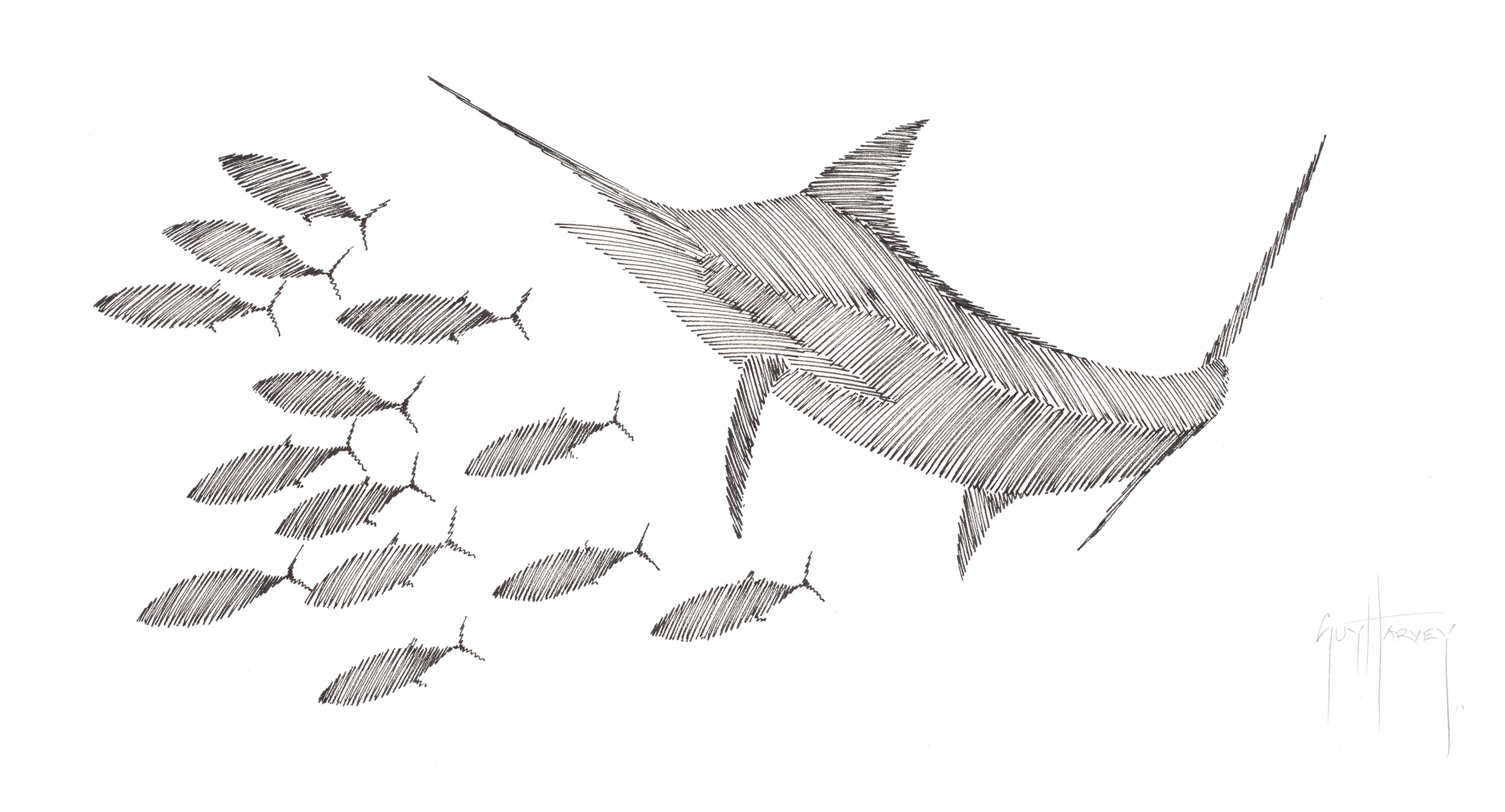 "Blue Marlin & Skip Jack Tuna Scribble" Original