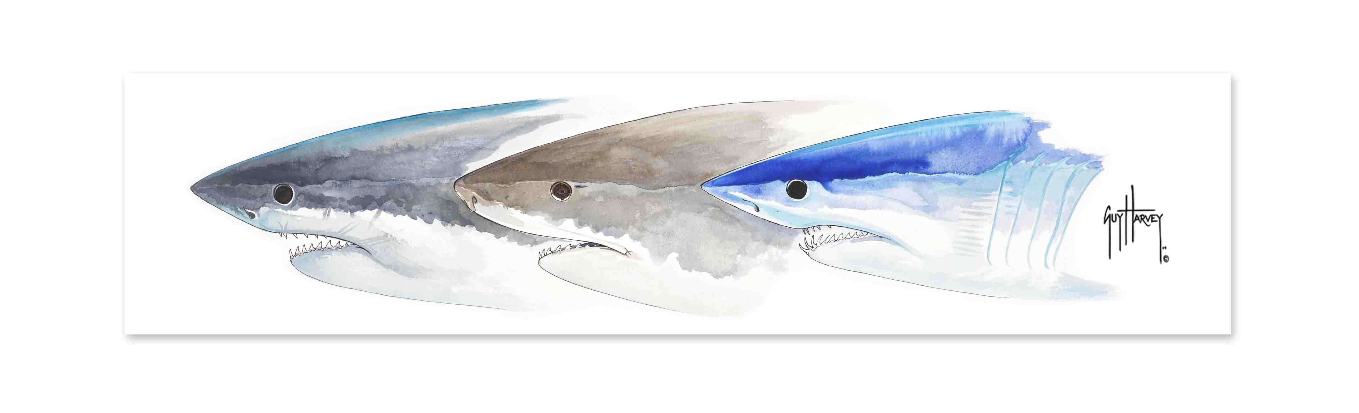 "Shark Heads II" Limited Edition Print - Image 2