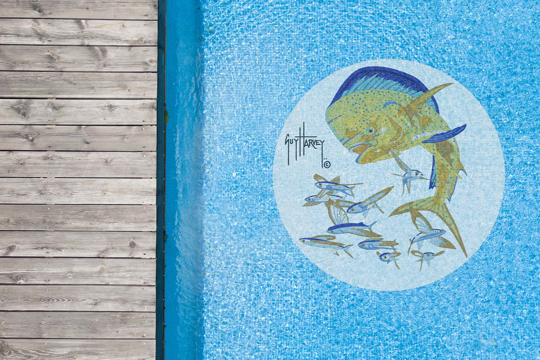 Bull Dolphin Medallion Mosaic - Small - Image 3