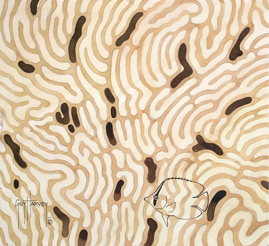 "Coral Camo" Original