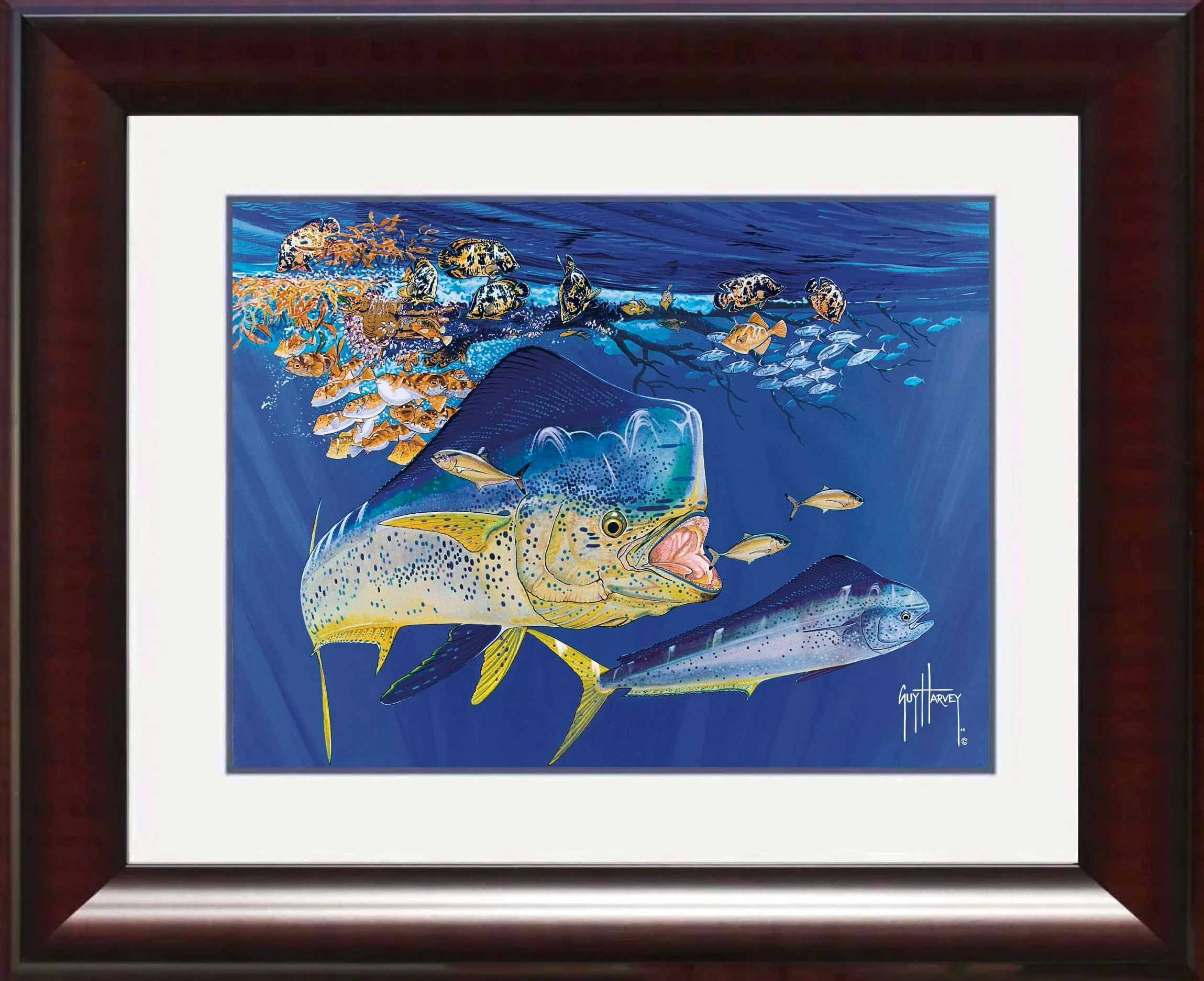 "Dolphin Summer" Mini Print