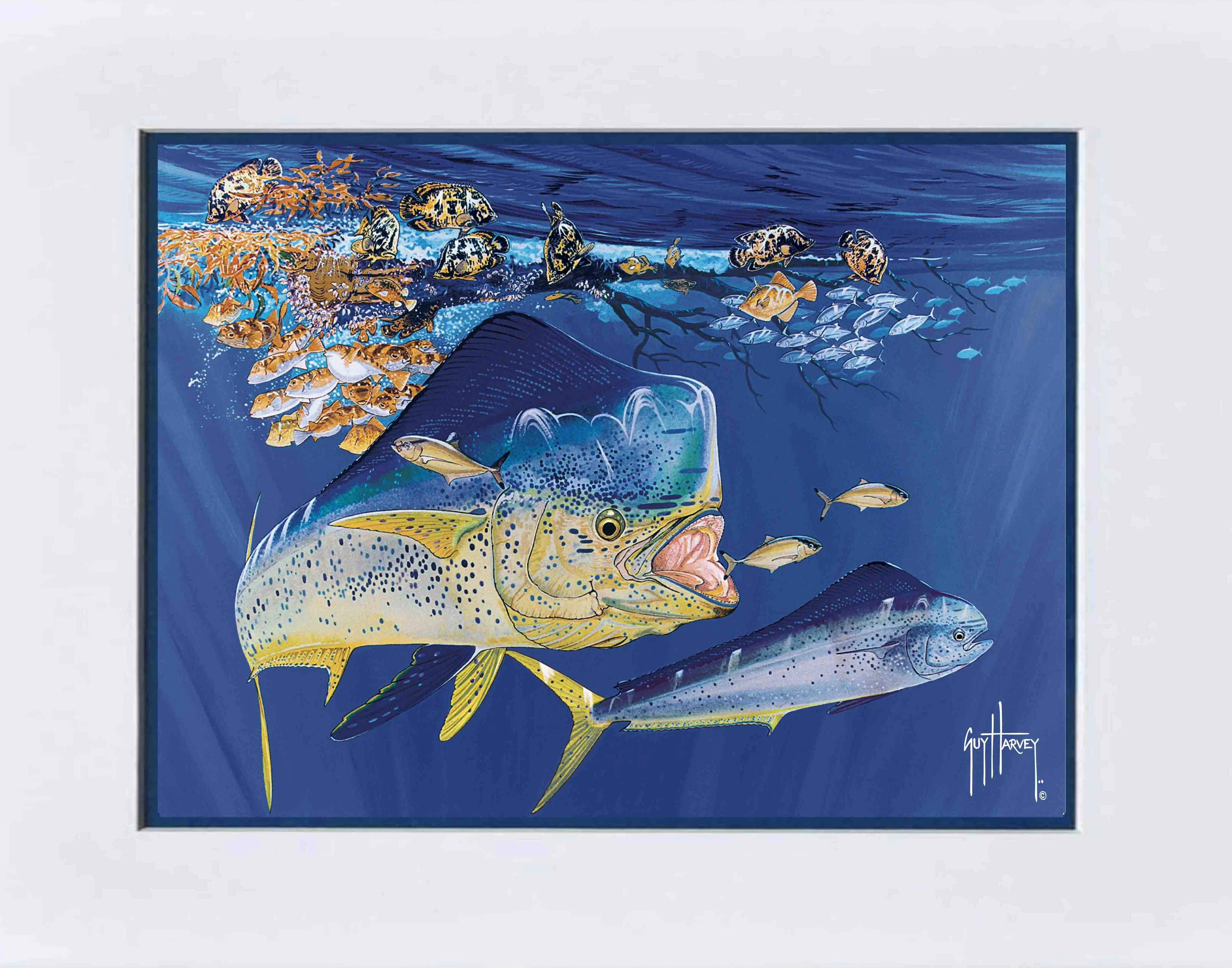 "Dolphin Summer" Mini Print - Image 2