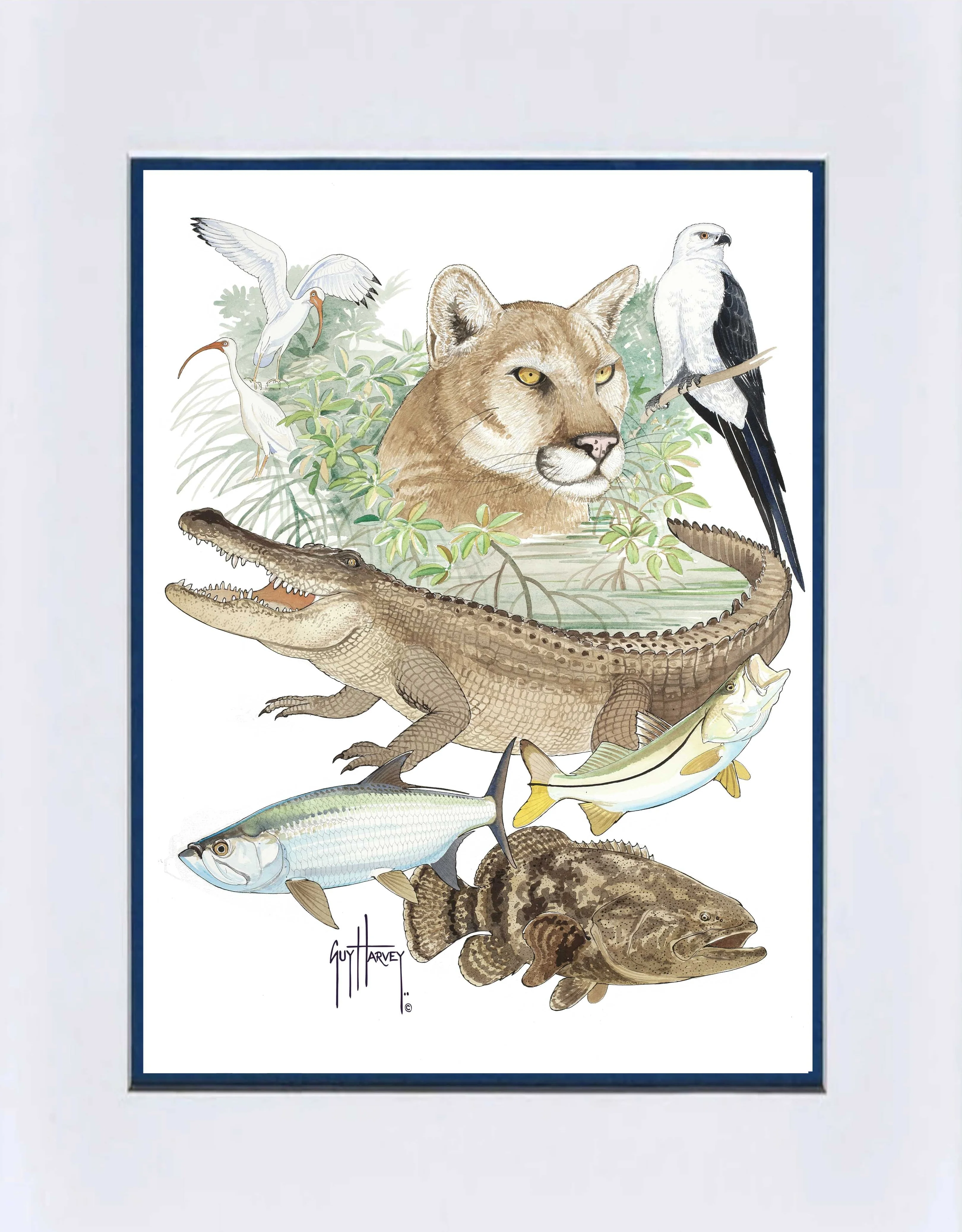 "Everglades Collage" Mini Print - Image 2