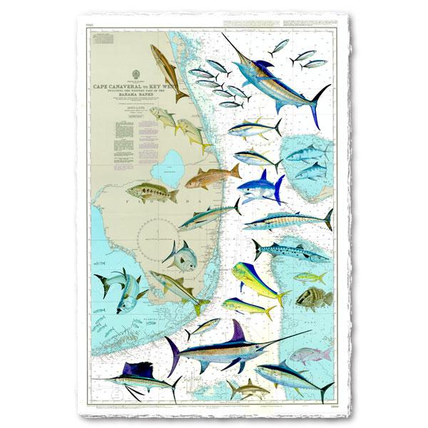 "Florida Chart" Original