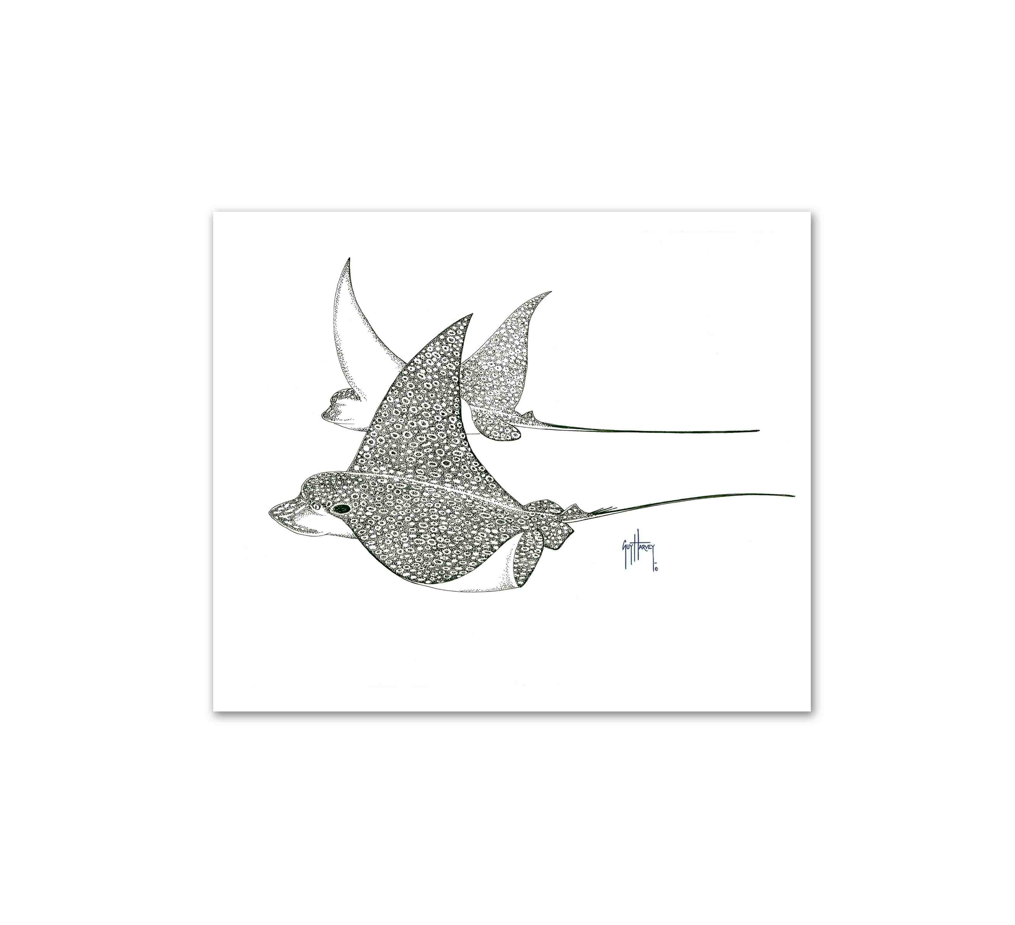 "Fly By" Limited Edition Print - Image 2