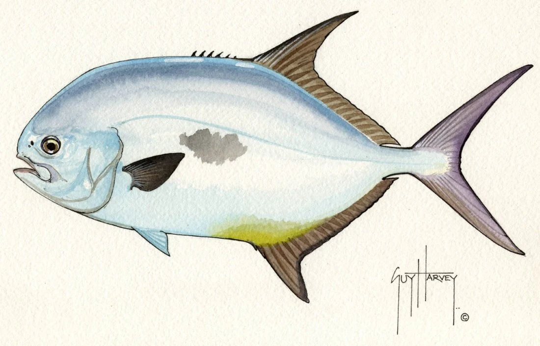 "Fotoo-Permit" Original