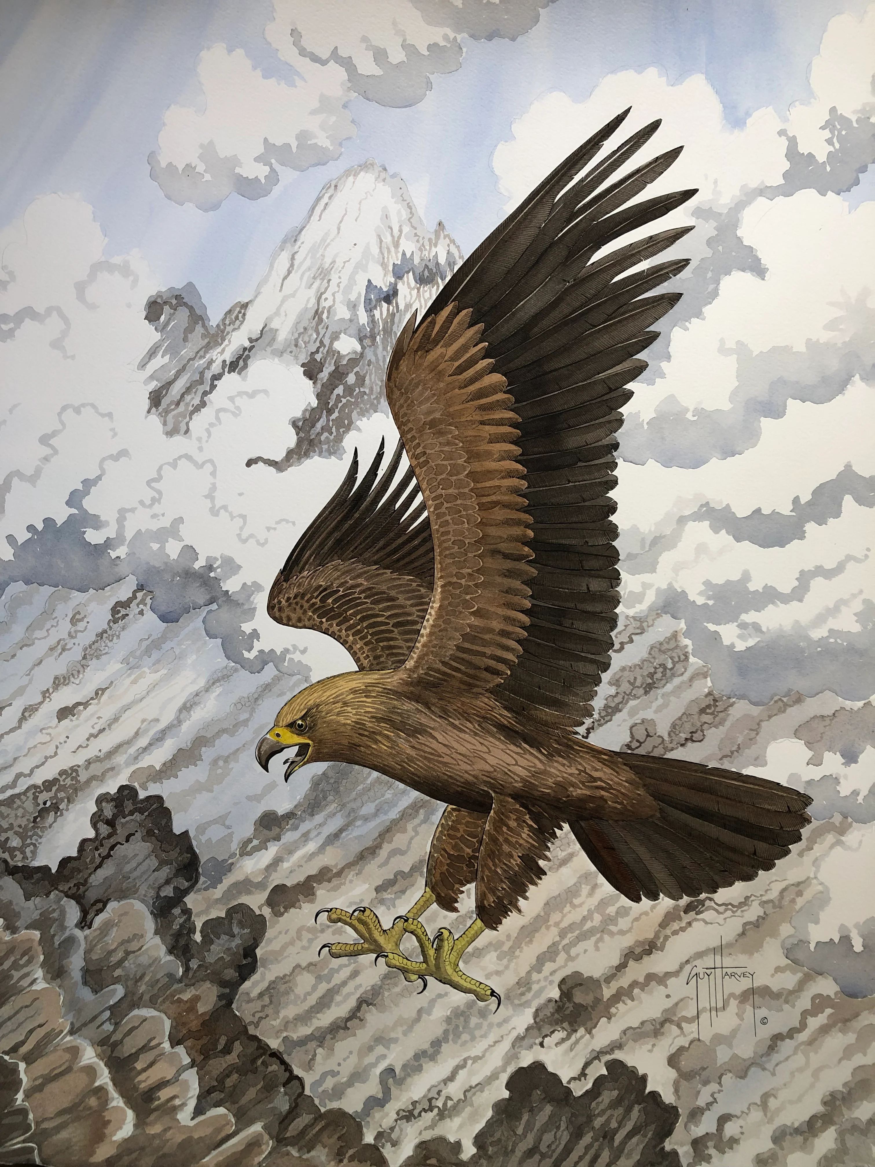 "Golden Eagle" Original