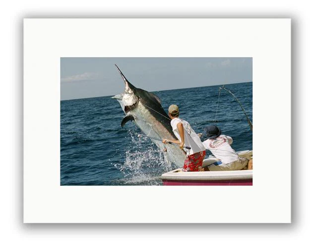 GRAND ENCOUNTER PHOTO ART