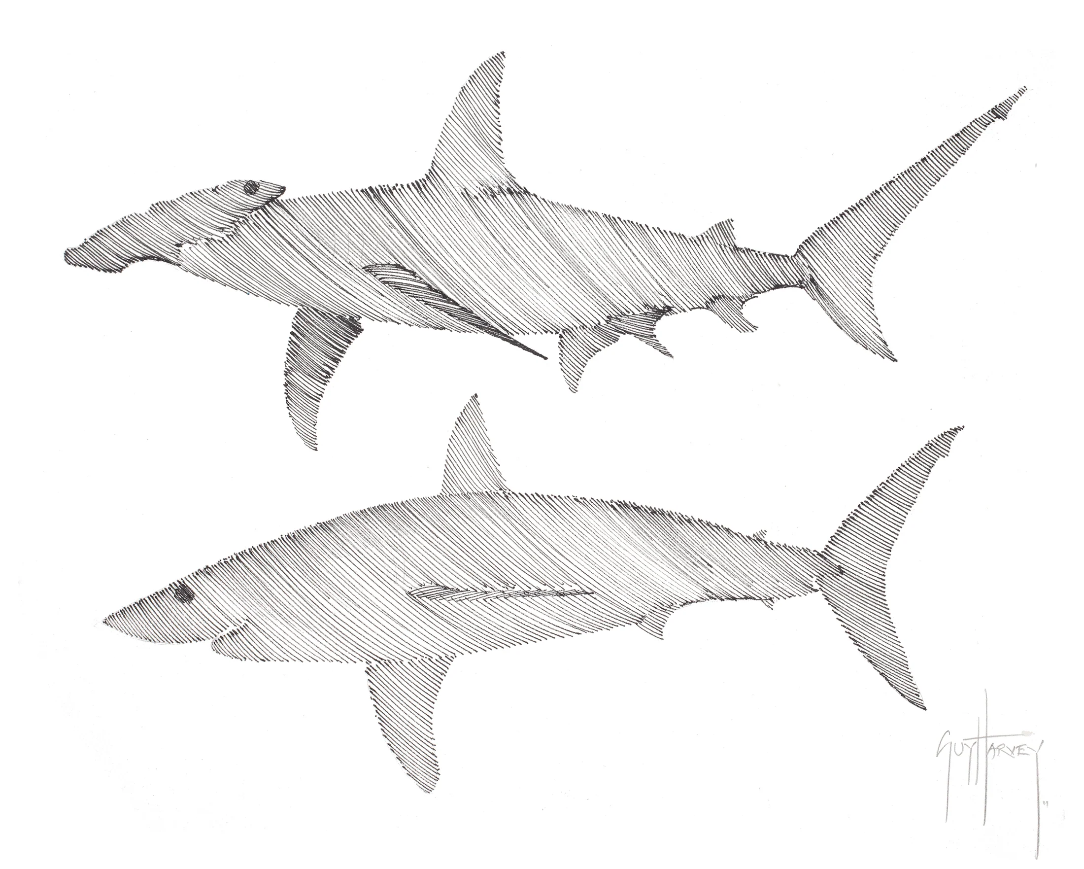 "Great Hammerhead and Mako" Original