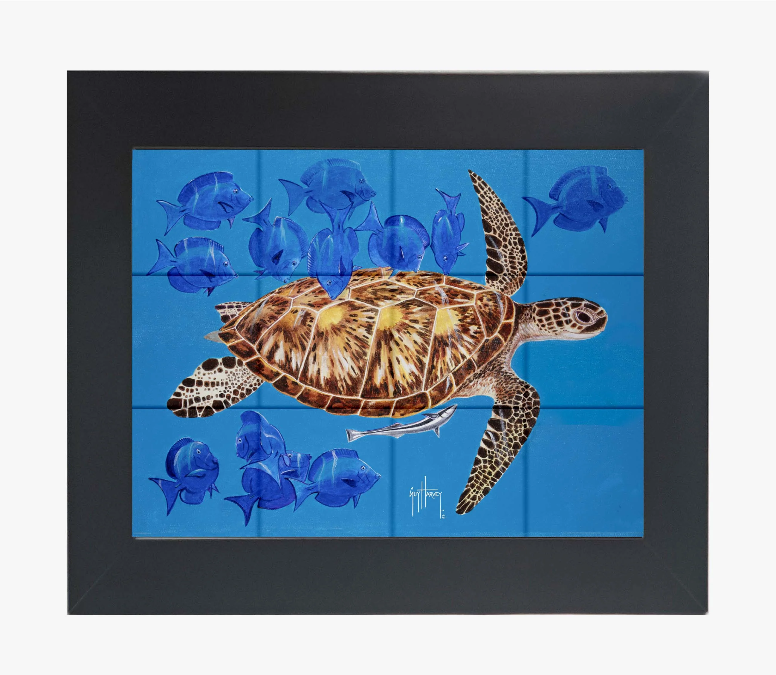 "Green Turtle & Blue Tangs" Tile Art - Image 8