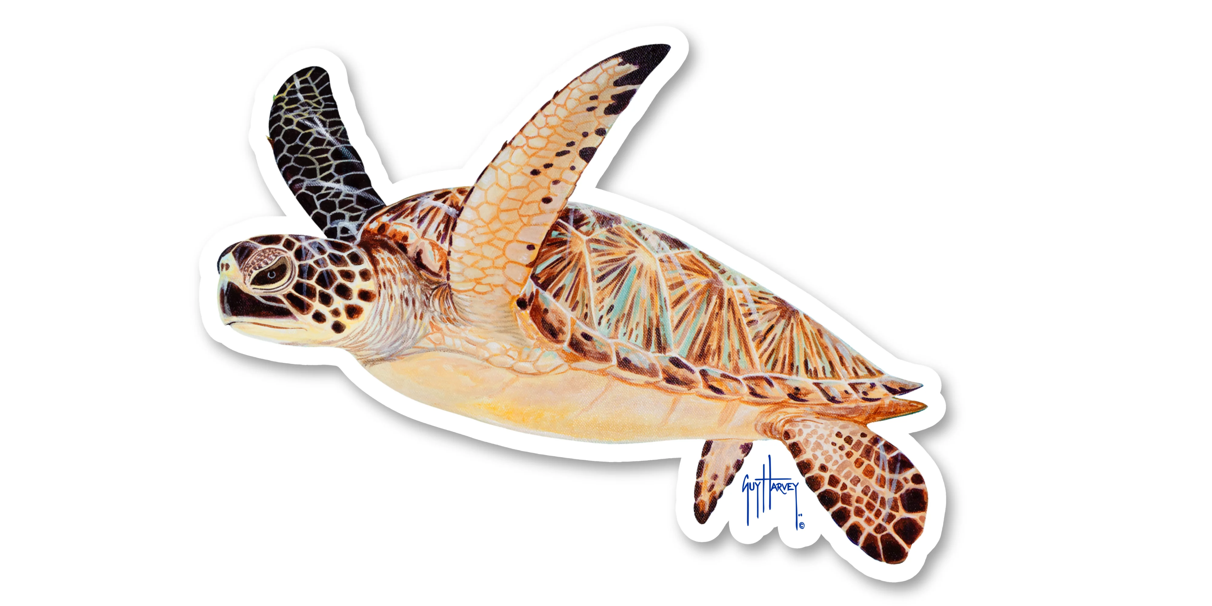 Green Turtle Decal