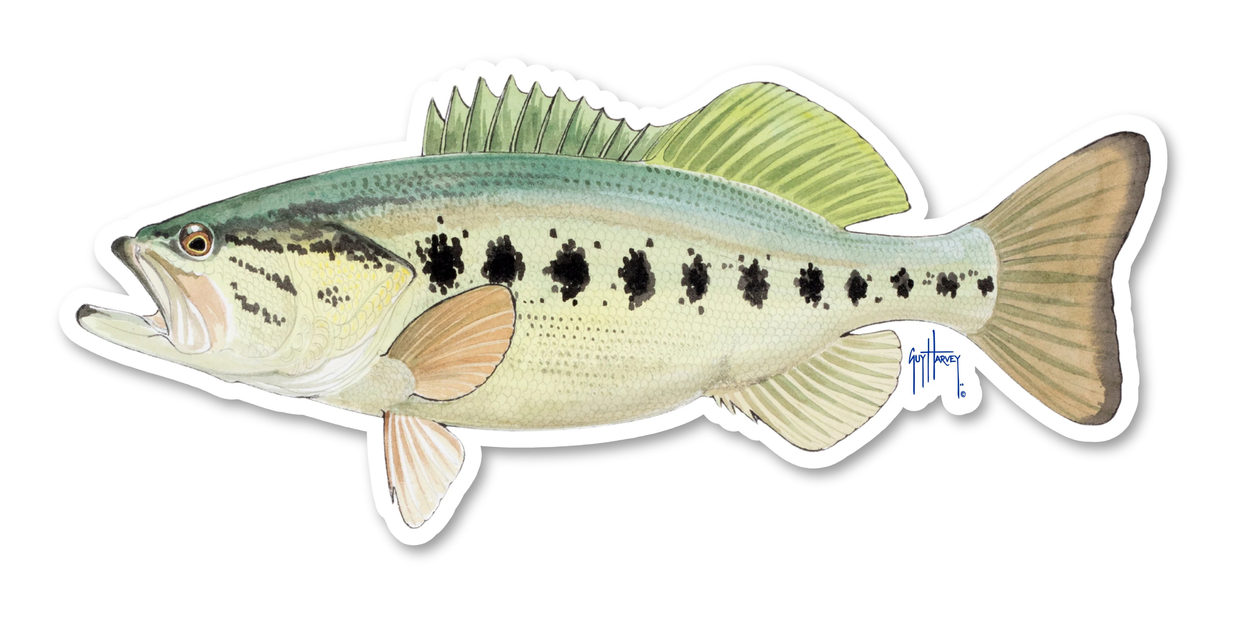 Largemouth Bass Decal