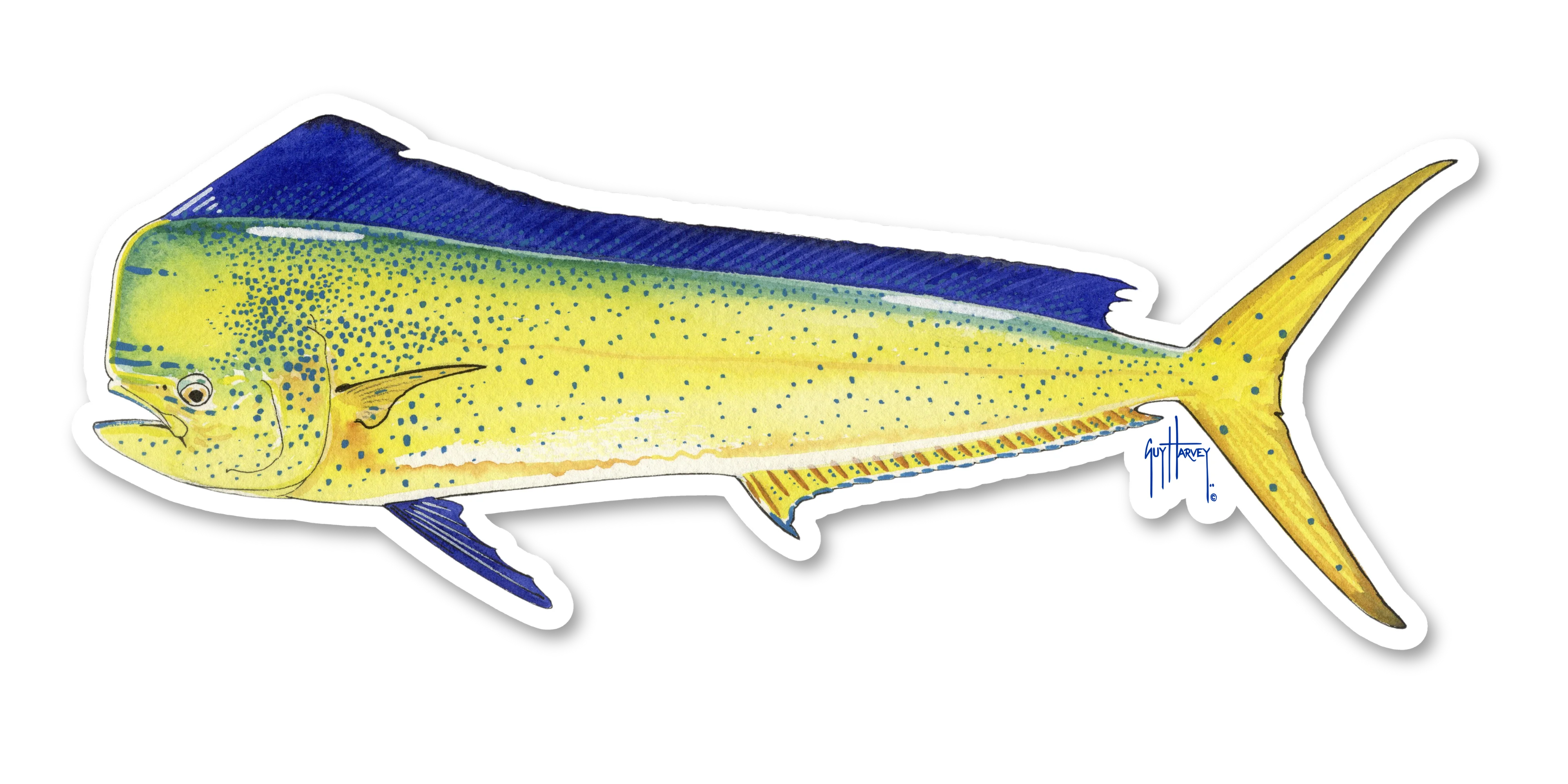 Mahi Mahi Decal