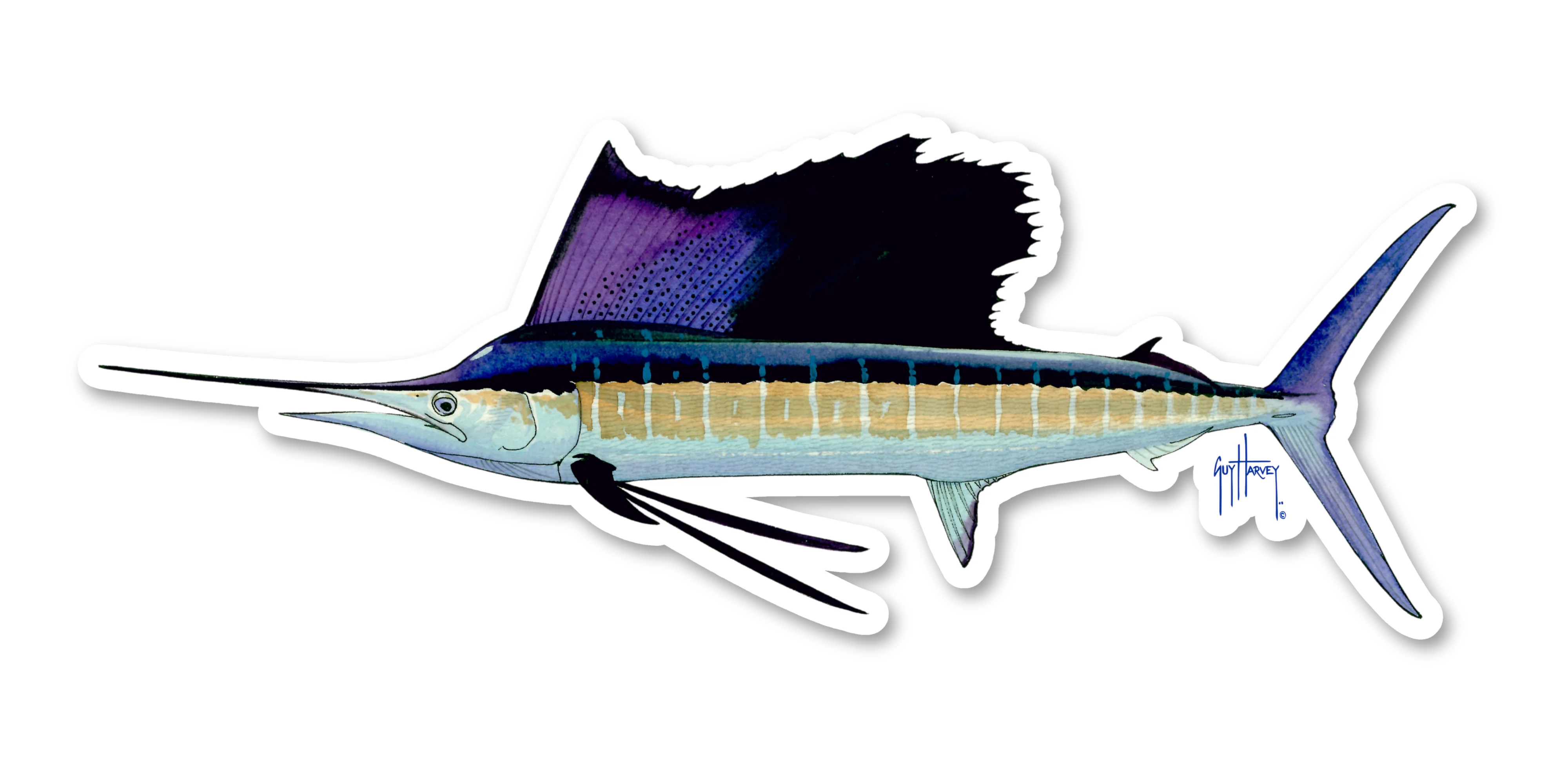 Sailfish Decal