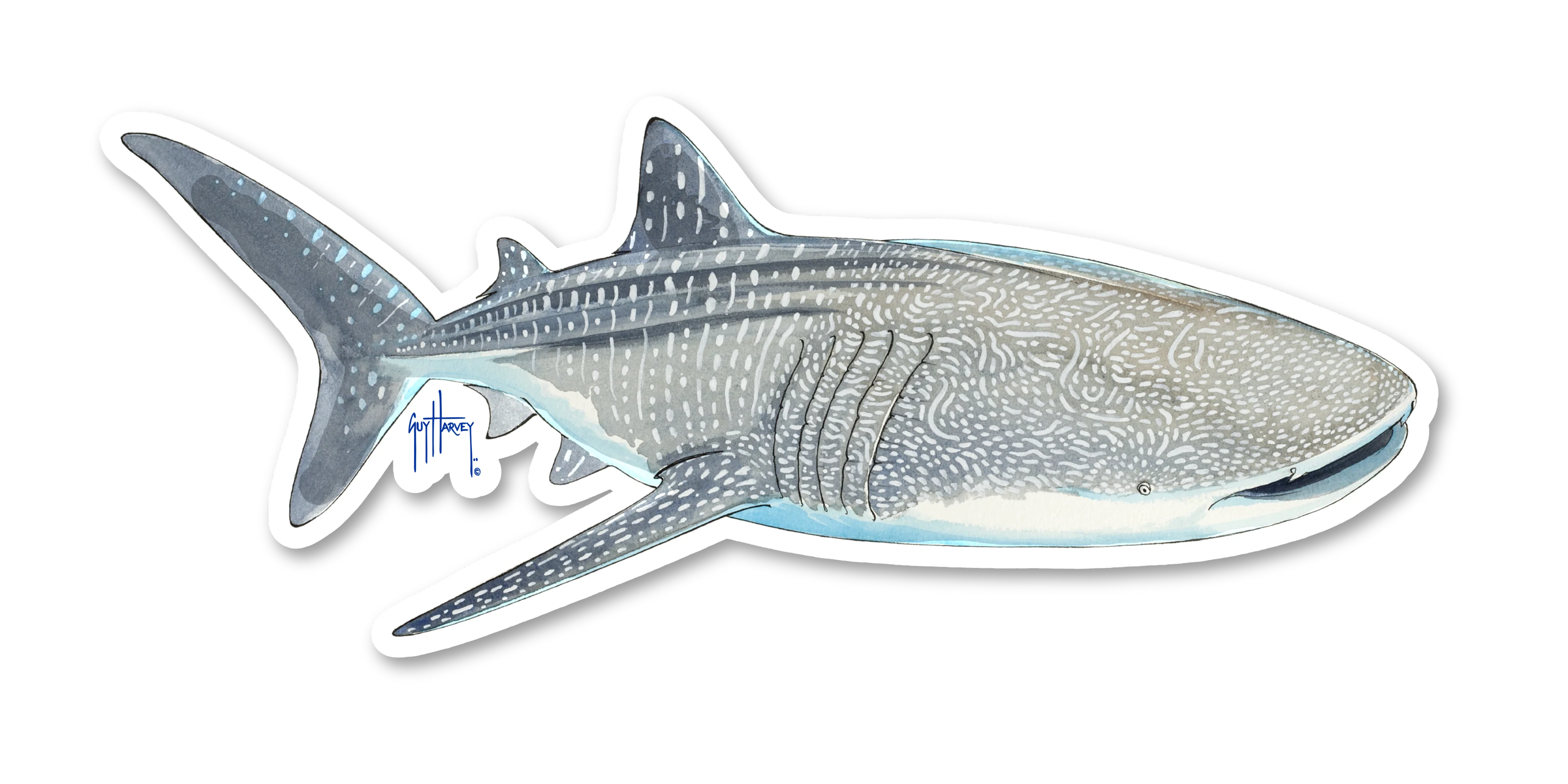 Whale Shark Decal