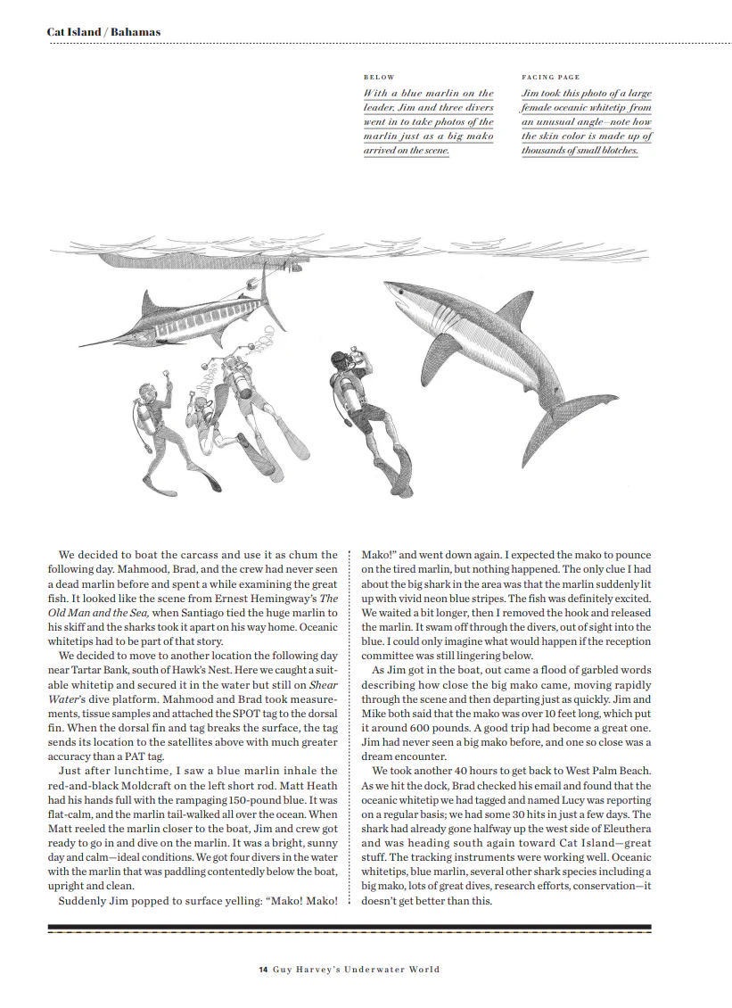 Guy Harvey's Underwater World Bundle - Image 4