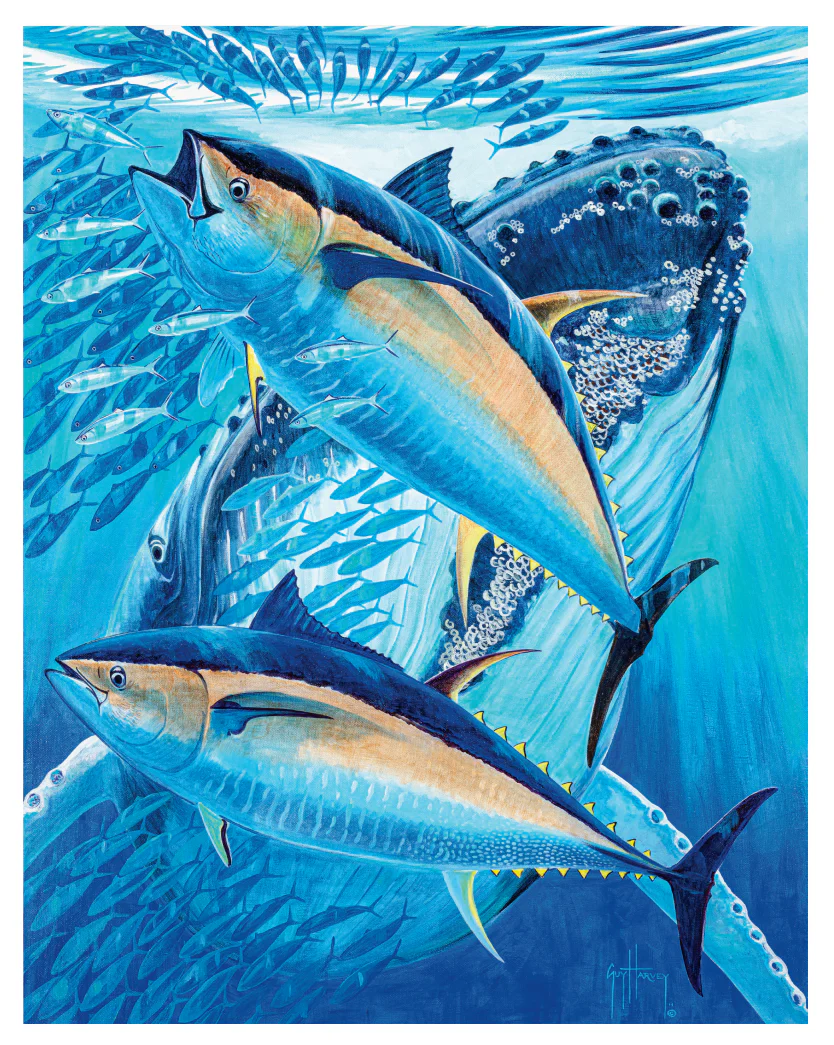 Guy Harvey's Underwater World Bundle - Image 6