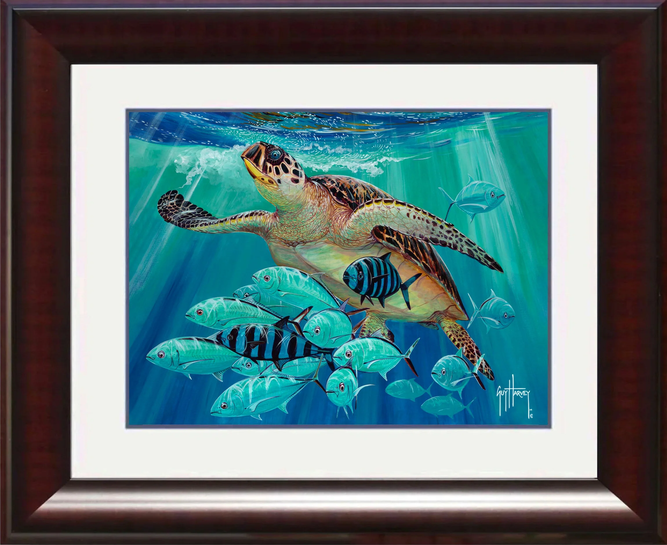 "Hawksbill Caravan" Mini Print