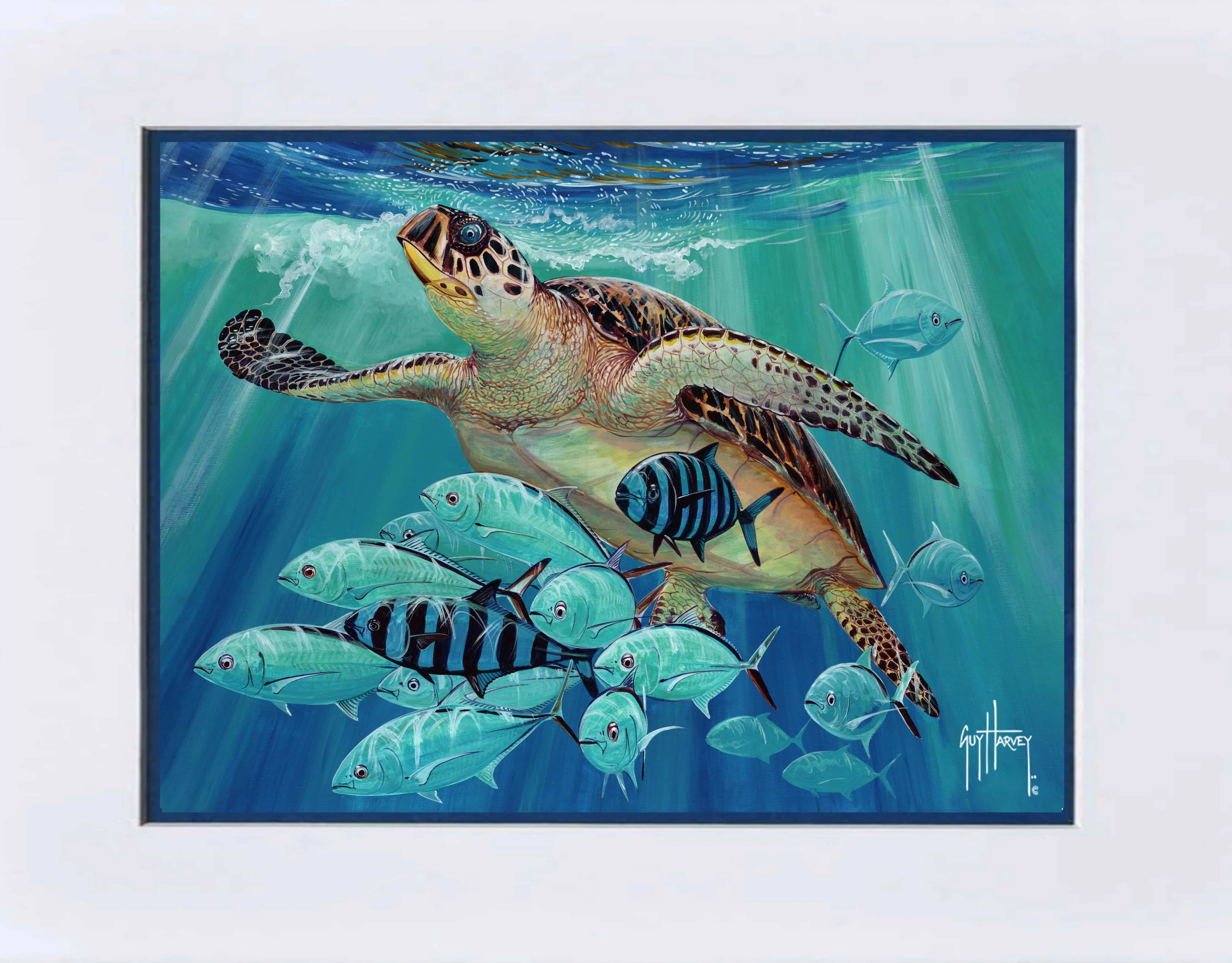 "Hawksbill Caravan" Mini Print - Image 2