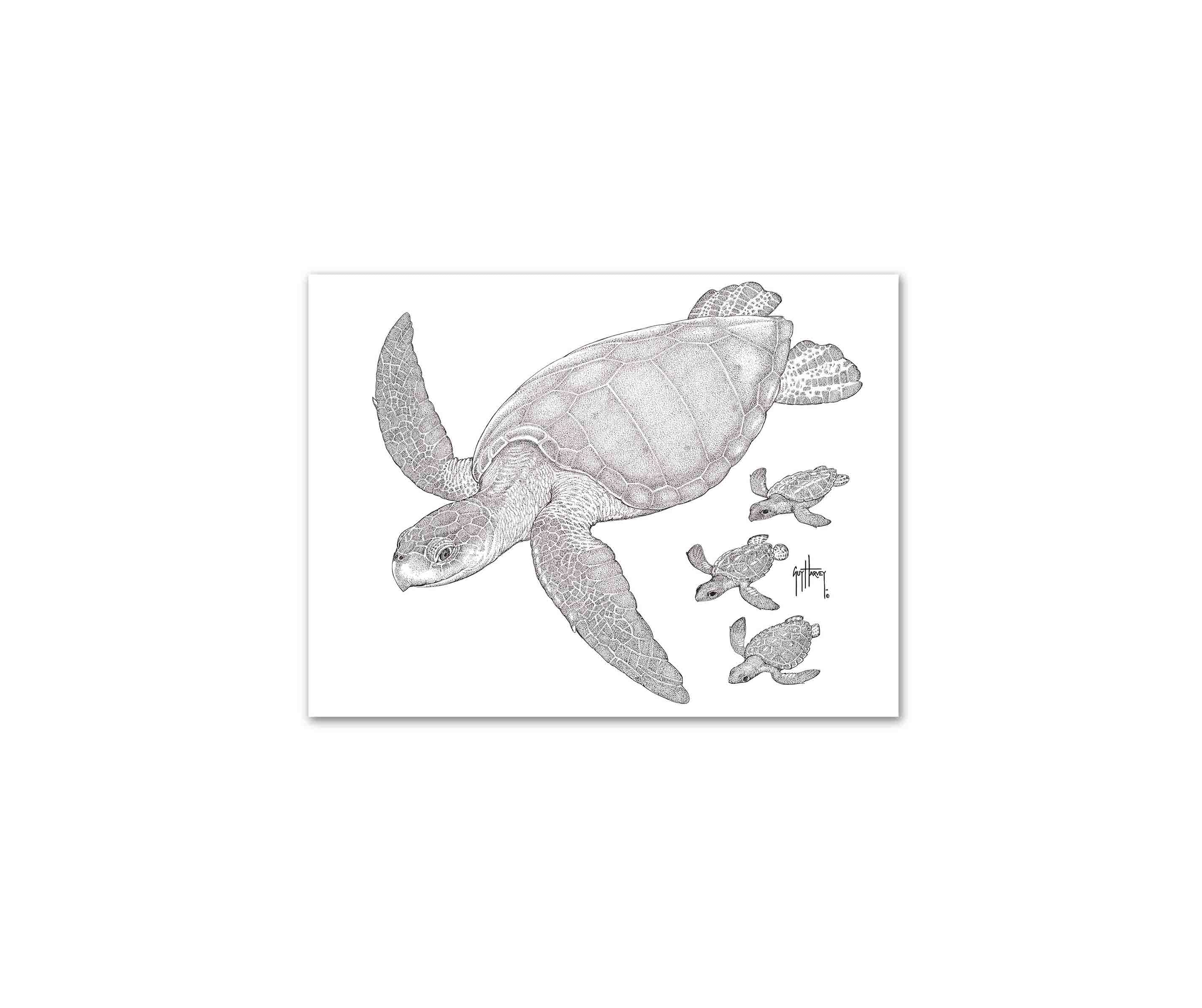"Kemp's Ridley with Hatchlings" Limited Edition Print - Image 2