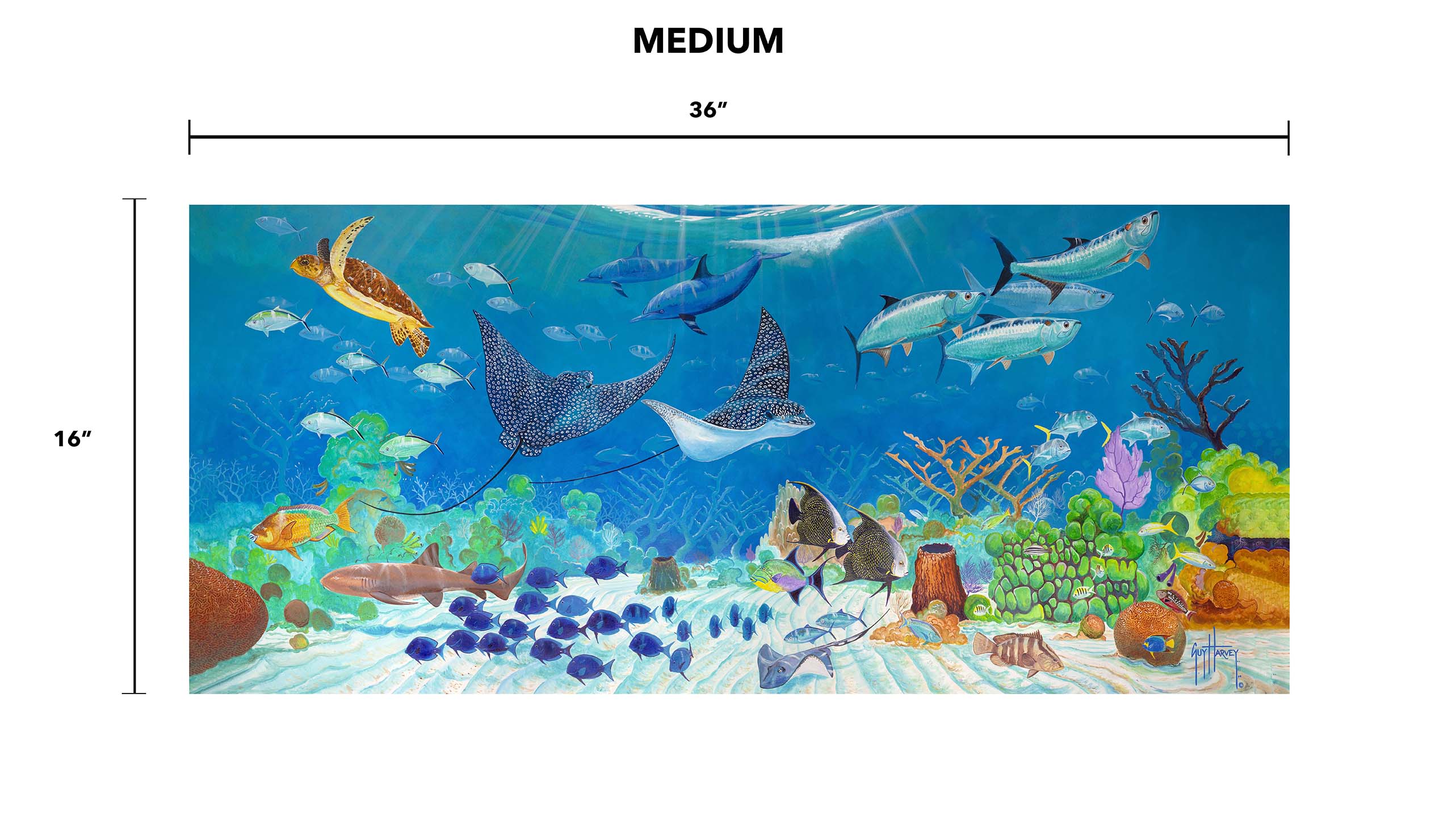 "Living Reef" Aluminum Art - Image 8