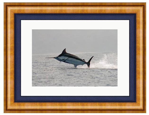 MADERIA BLUE PHOTO ART FRAMED