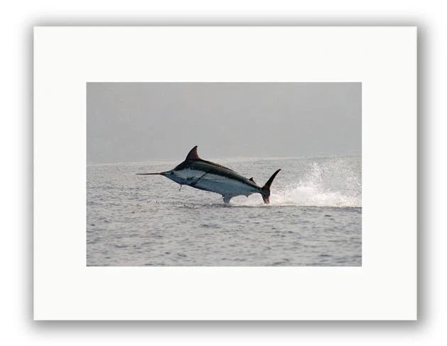 MADERIA BLUE PHOTO ART UNFRAMED