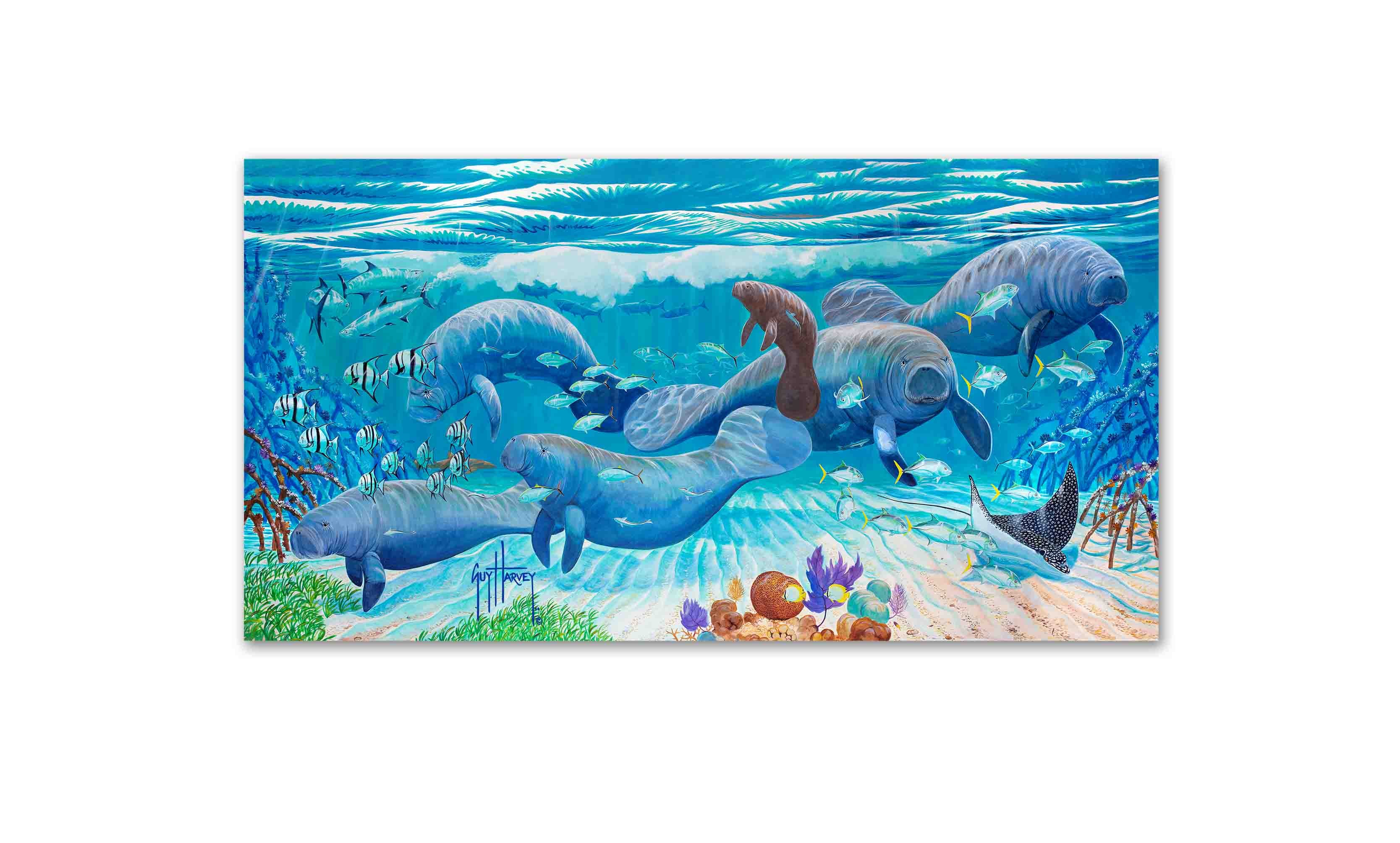 "Mangrove Refuge" Limited Edition Print - Image 2