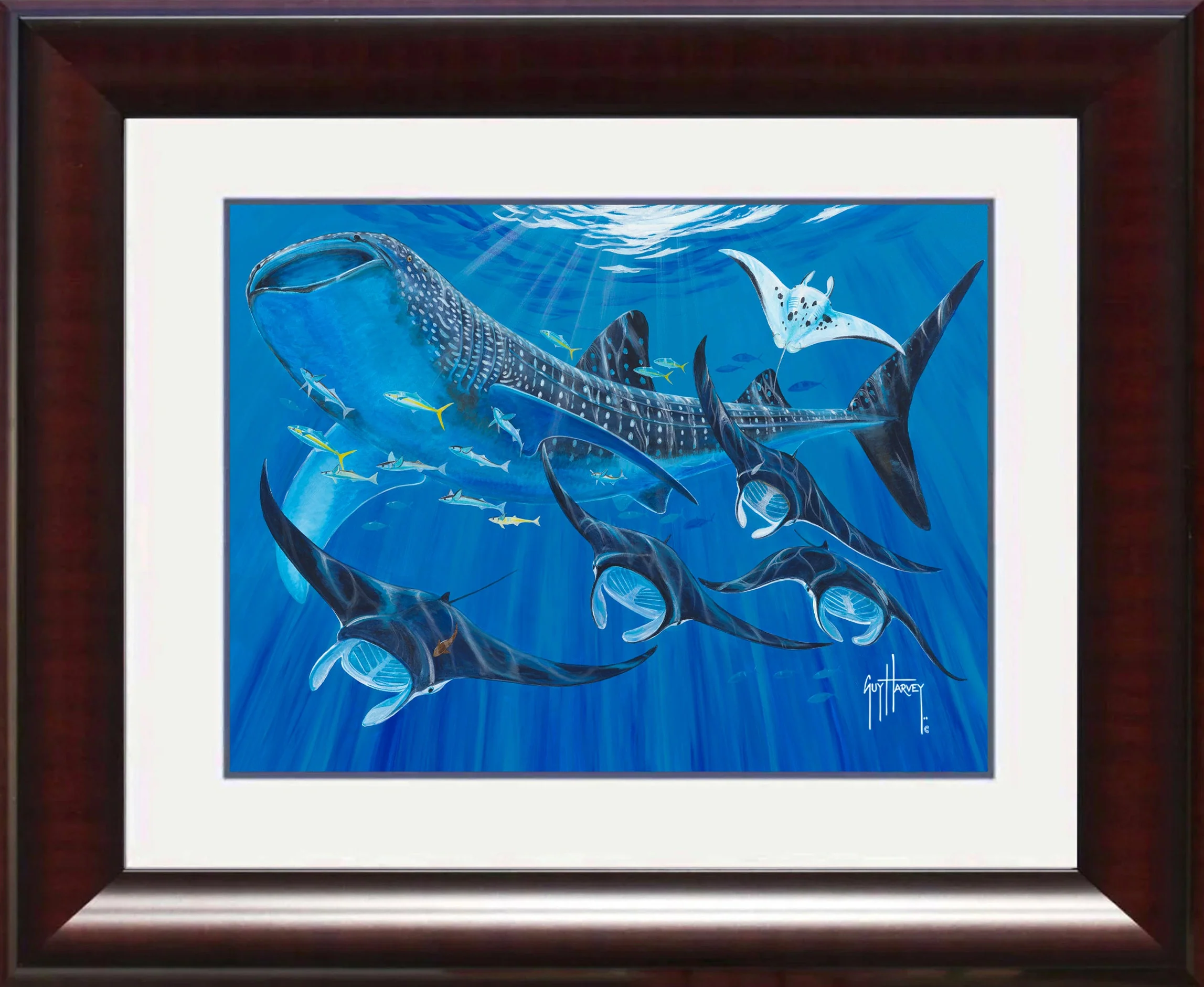 "Manta Train" Mini Print