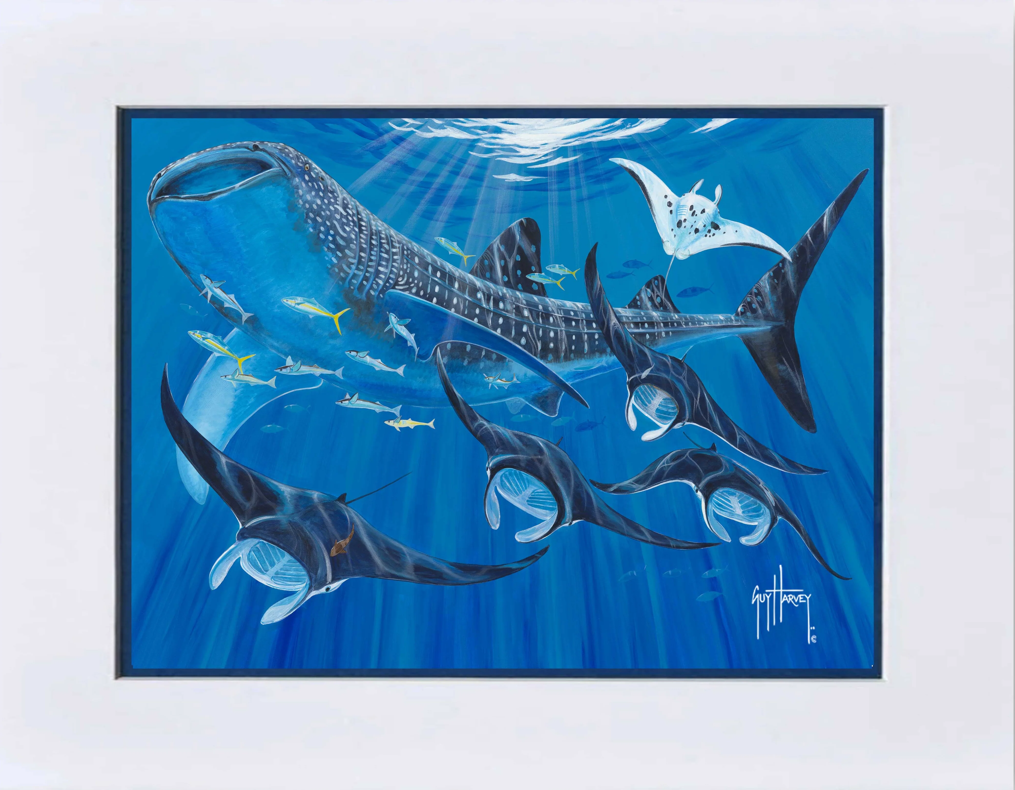 "Manta Train" Mini Print - Image 2