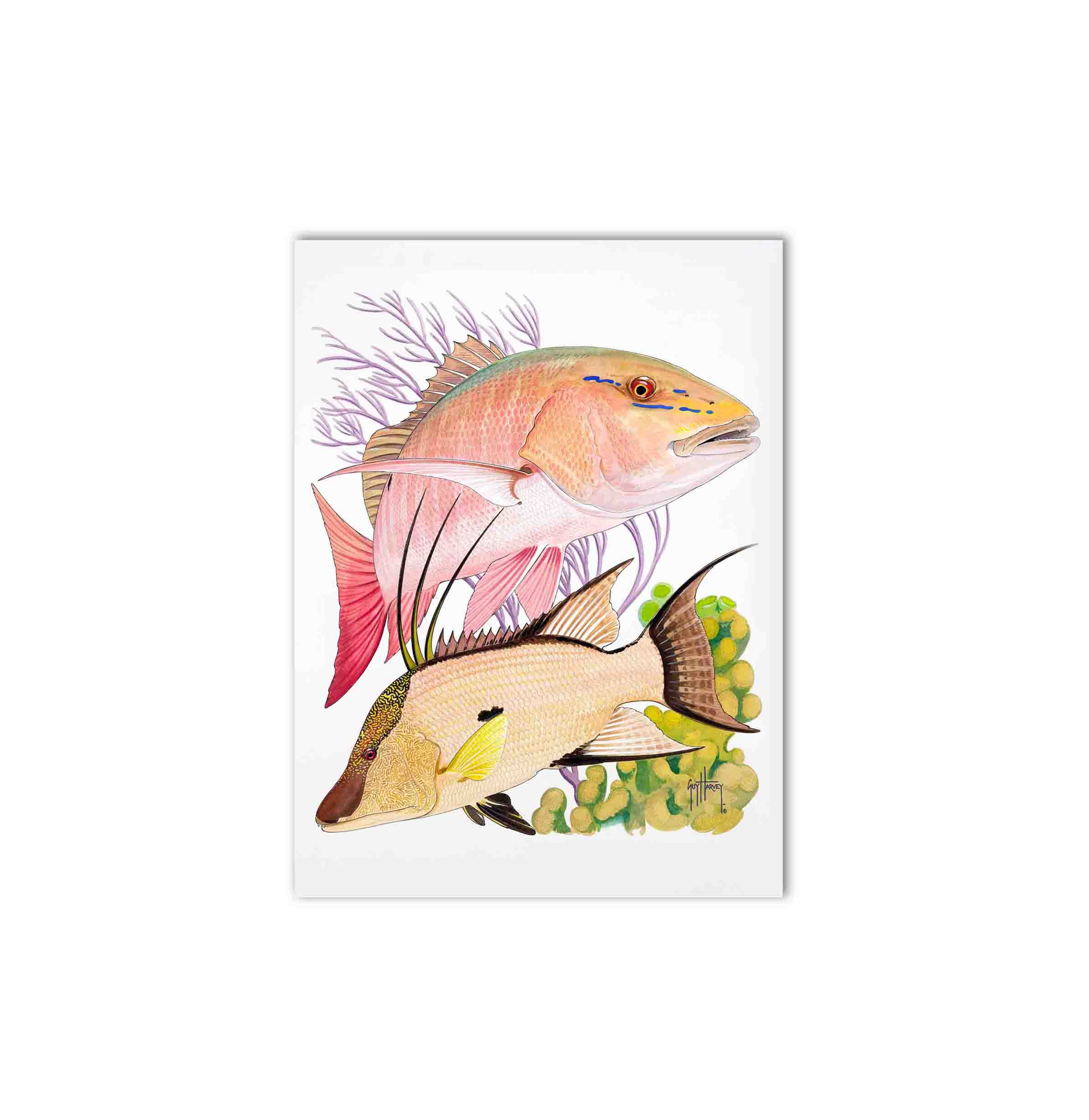 "Mutton Snapper & Hogfish" Limited Edition Print - Image 2