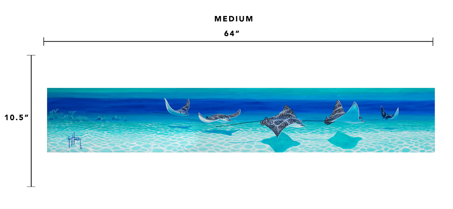 "Moving Through" Aluminum Art - Image 4