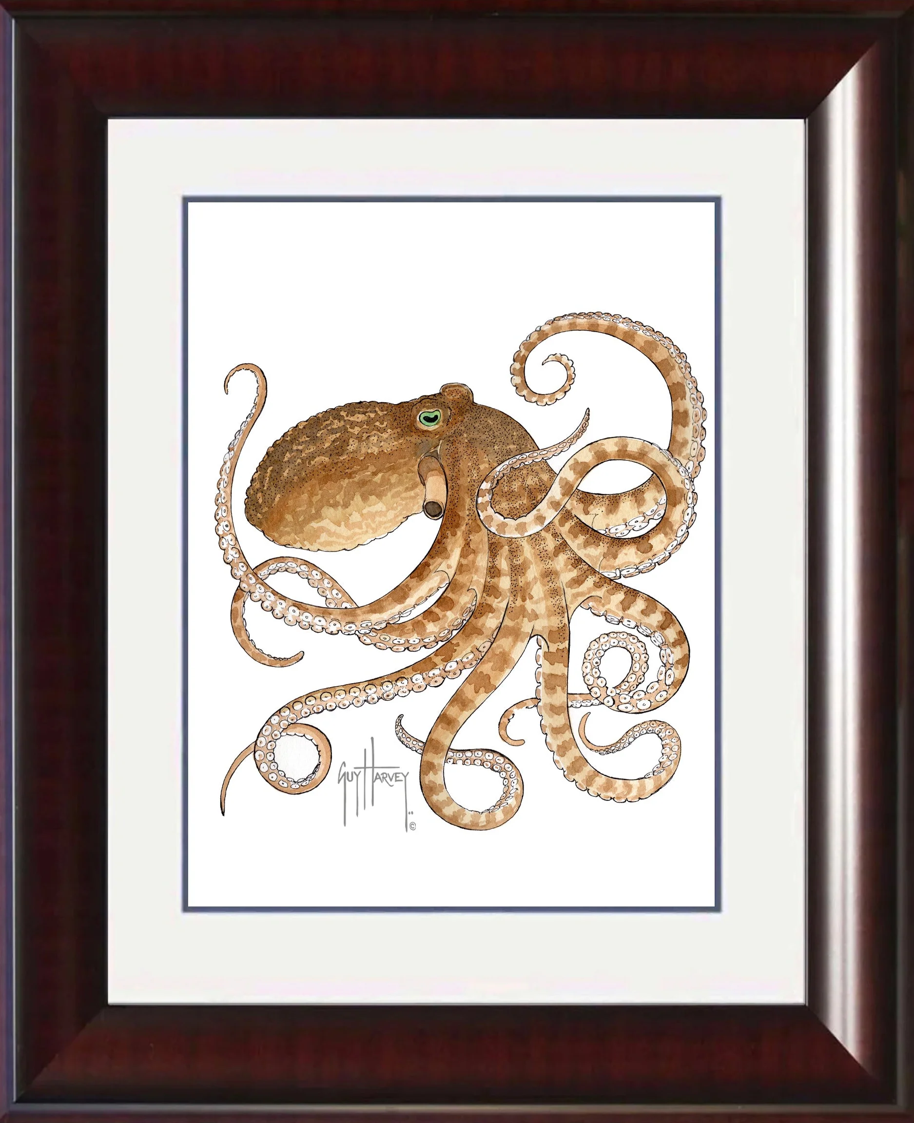 "Octopus IV" Grande Mini Print