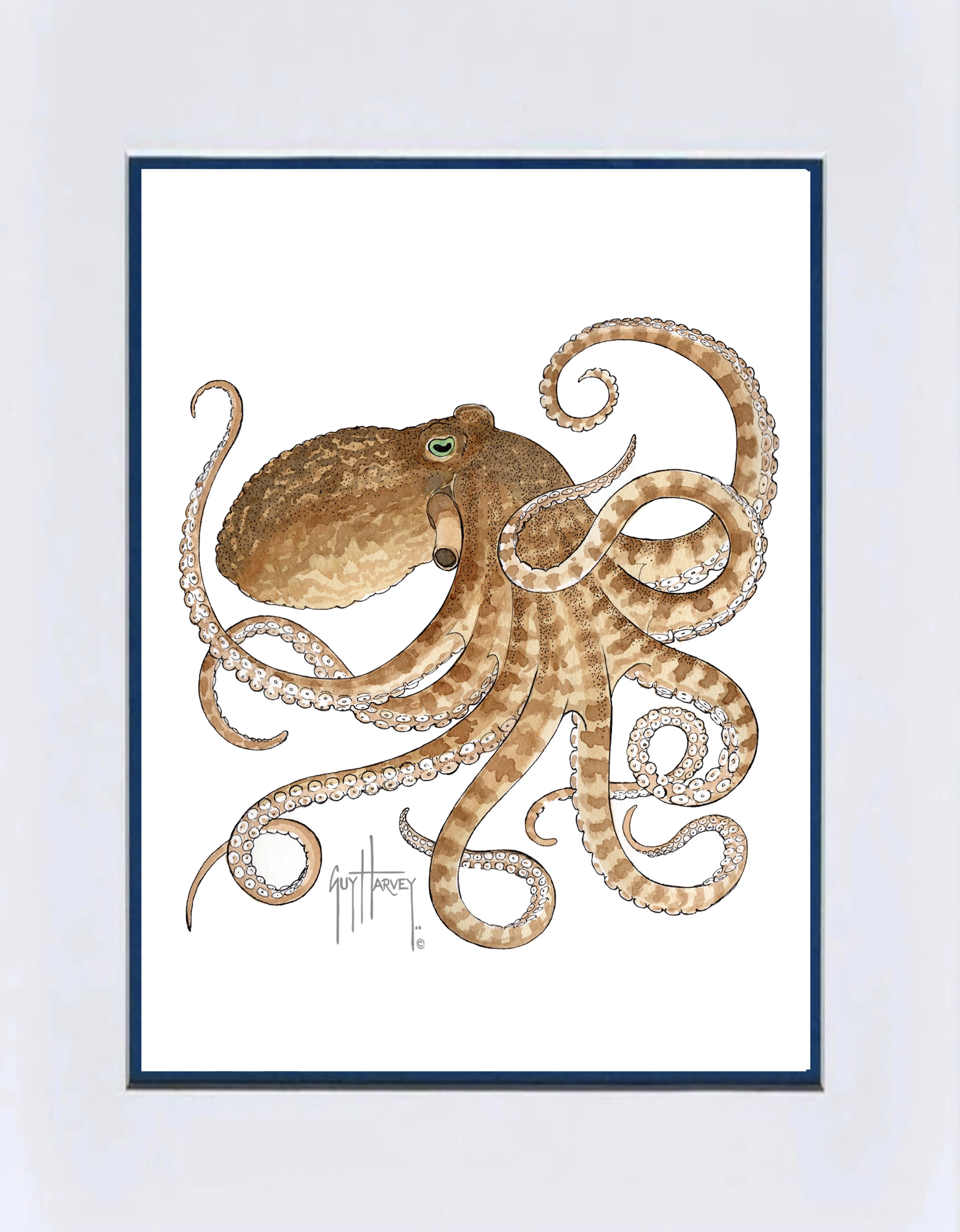 "Octopus IV" Grande Mini Print - Image 2