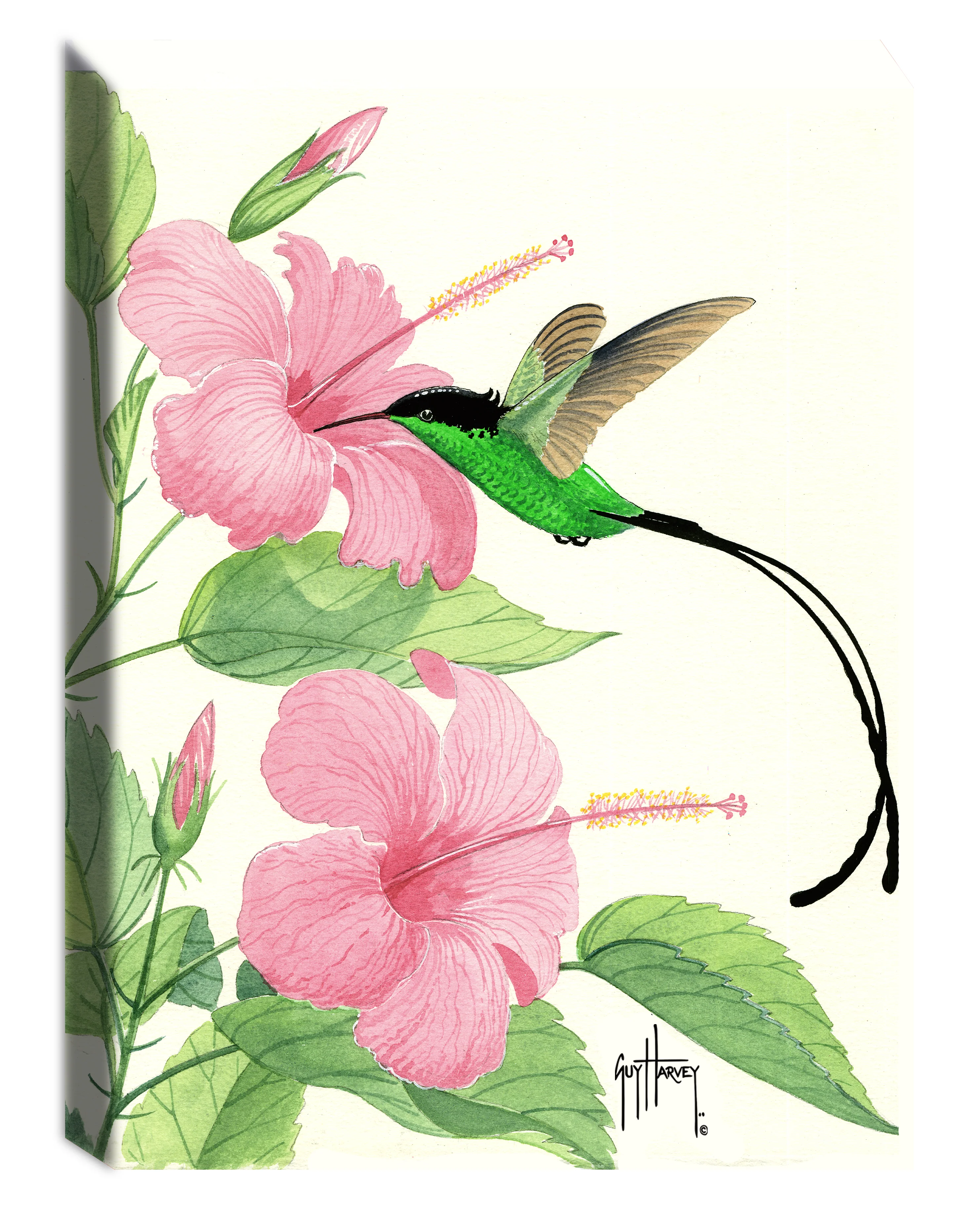 "Pink Hibiscus I" Small Canvas Art