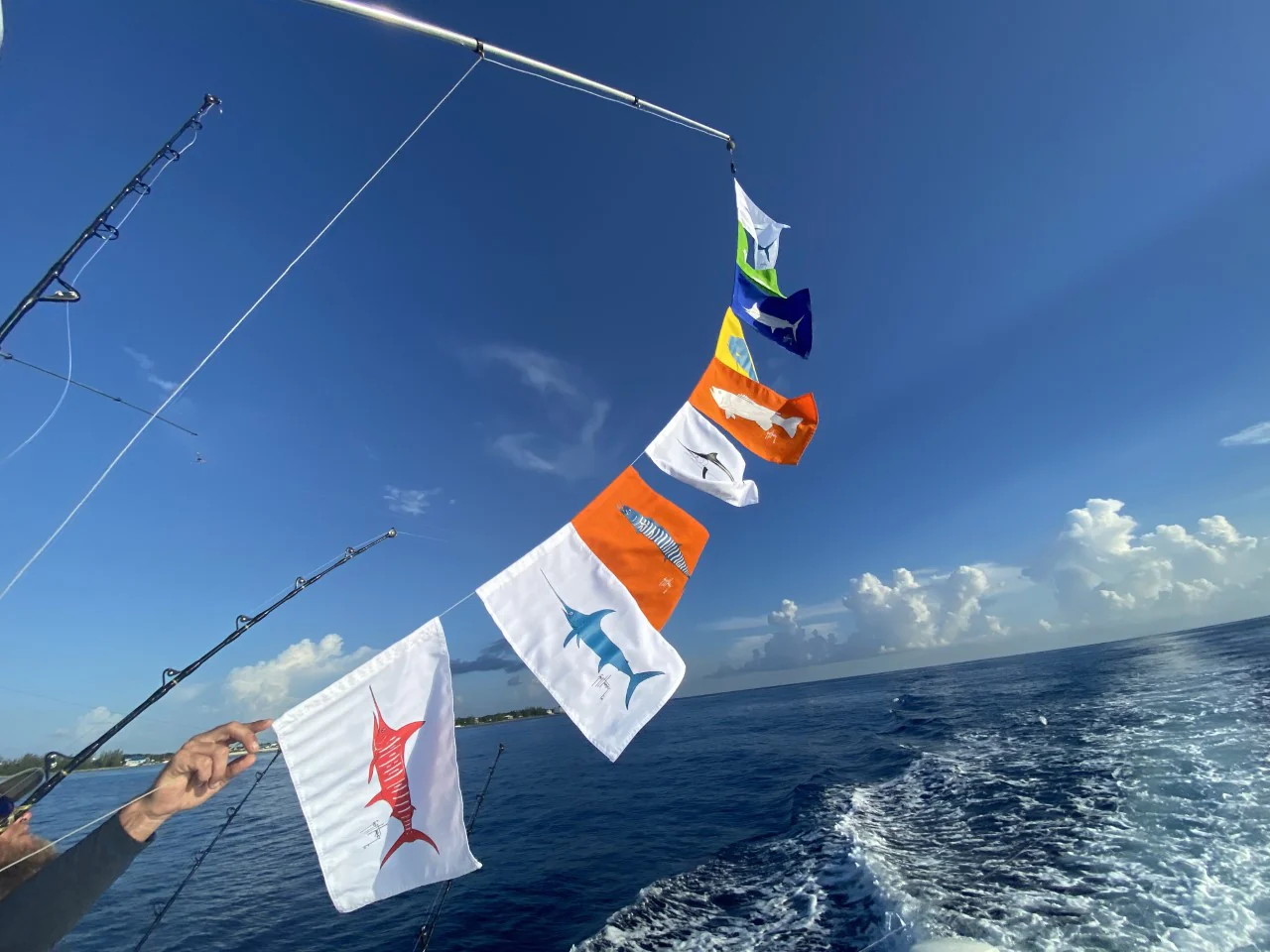 Roosterfish Flag - Image 3