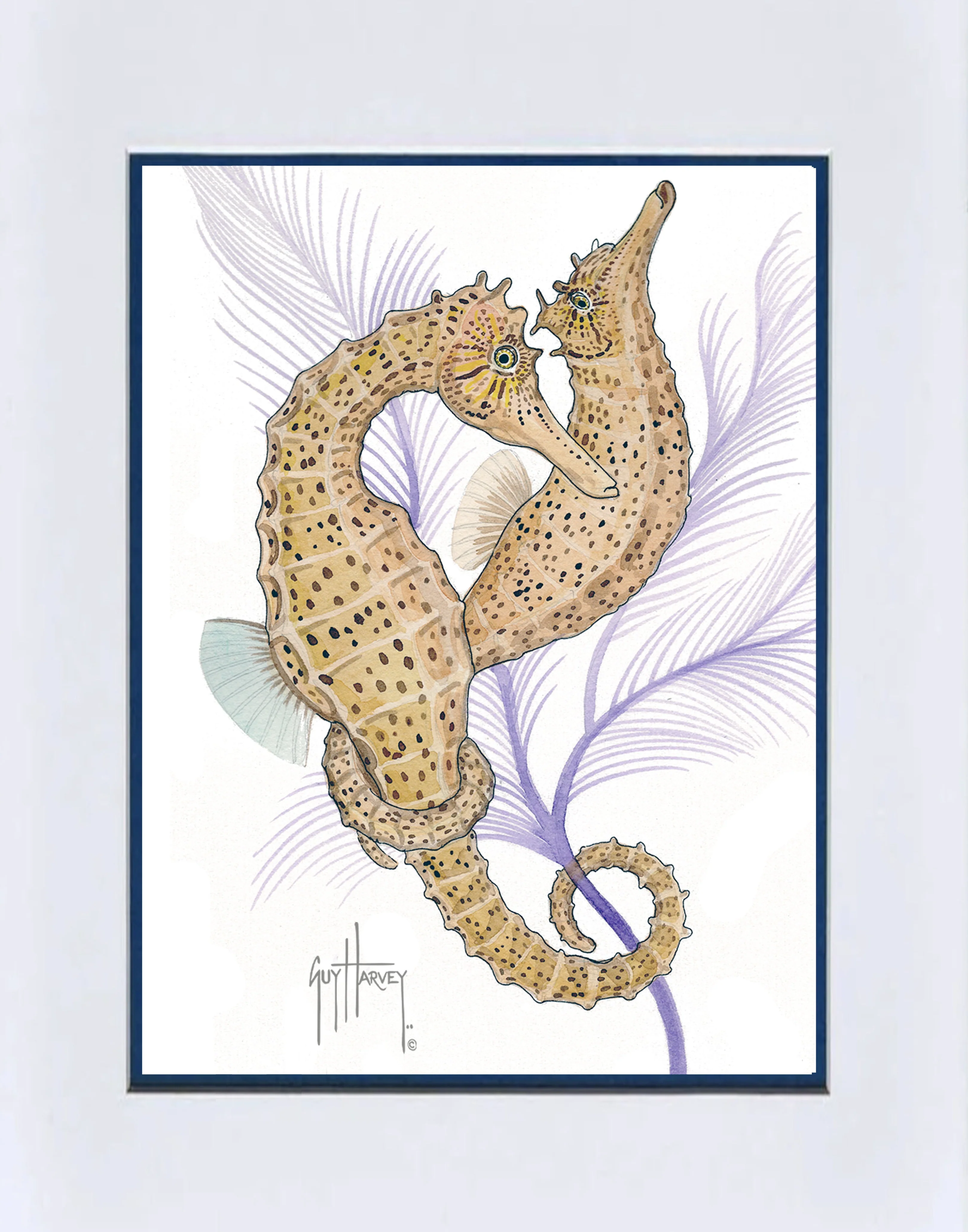 "Seahorse Pair" Mini Print - Image 2