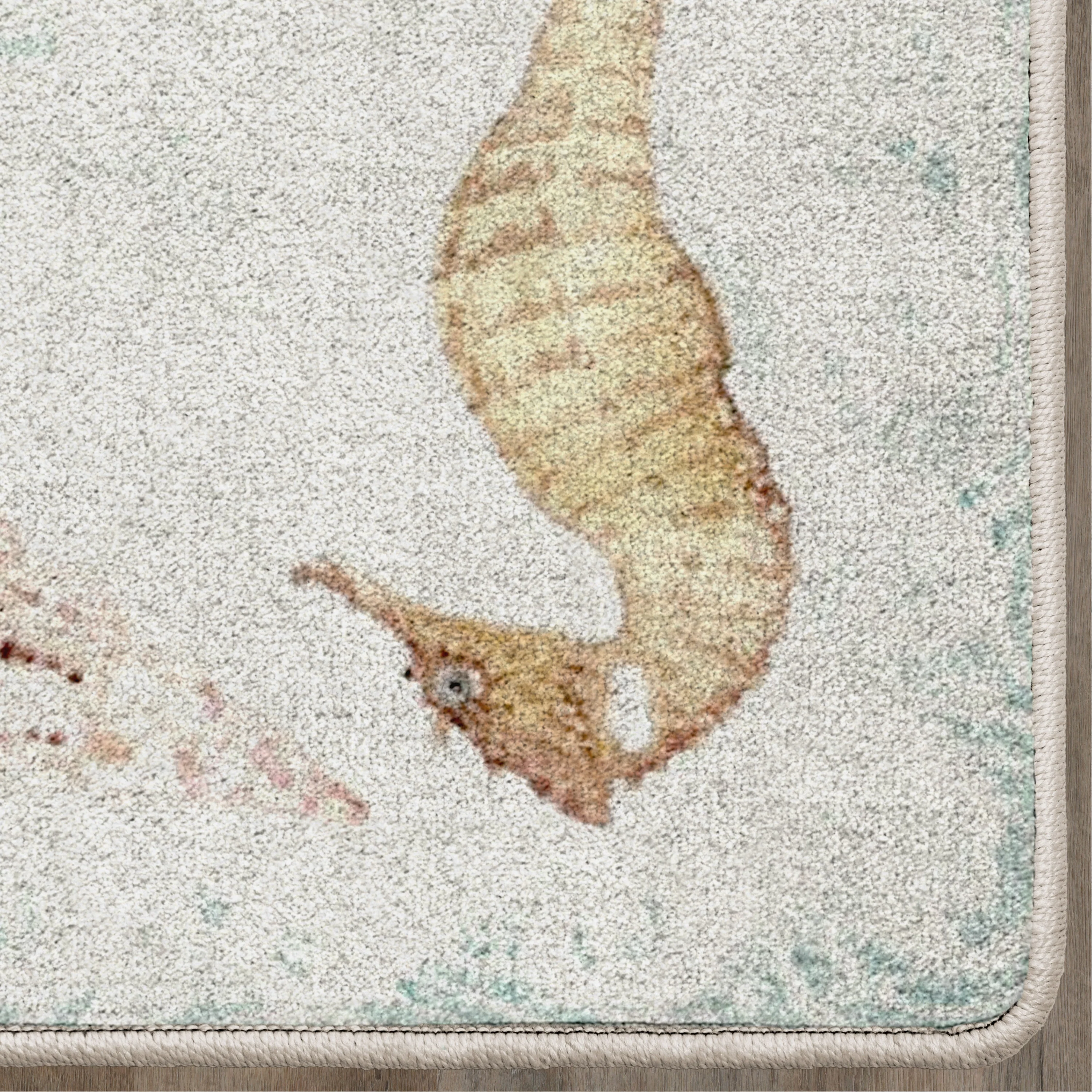 Seashell Swirl Area Rug - Image 6