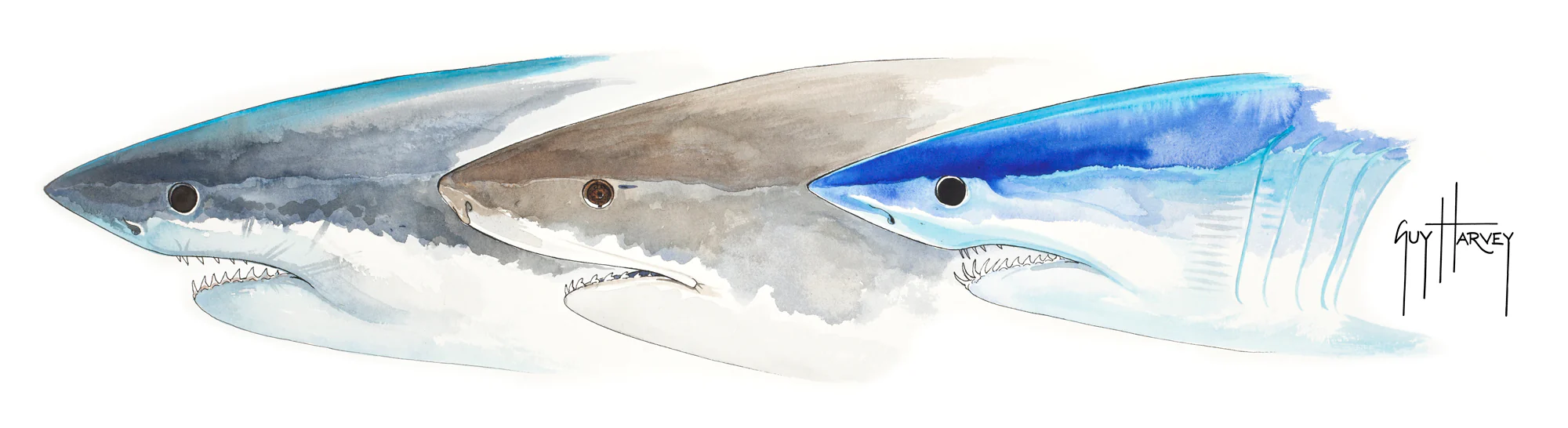 "Shark Heads II" Original