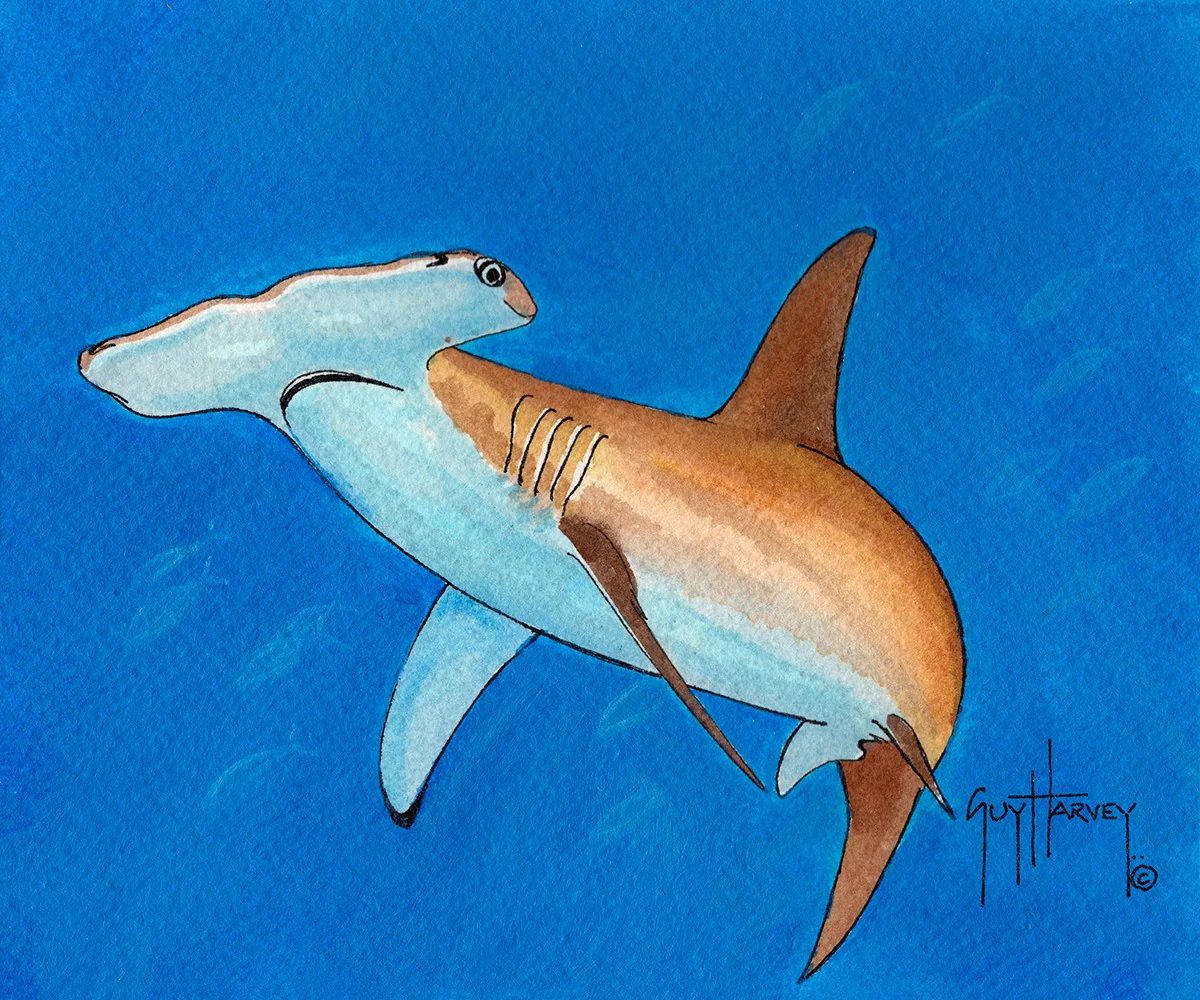 "Single Hammerhead" Original
