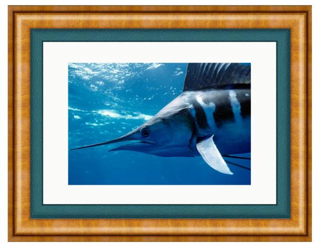 STRIPED MARLIN PHOTO ART FRAMED