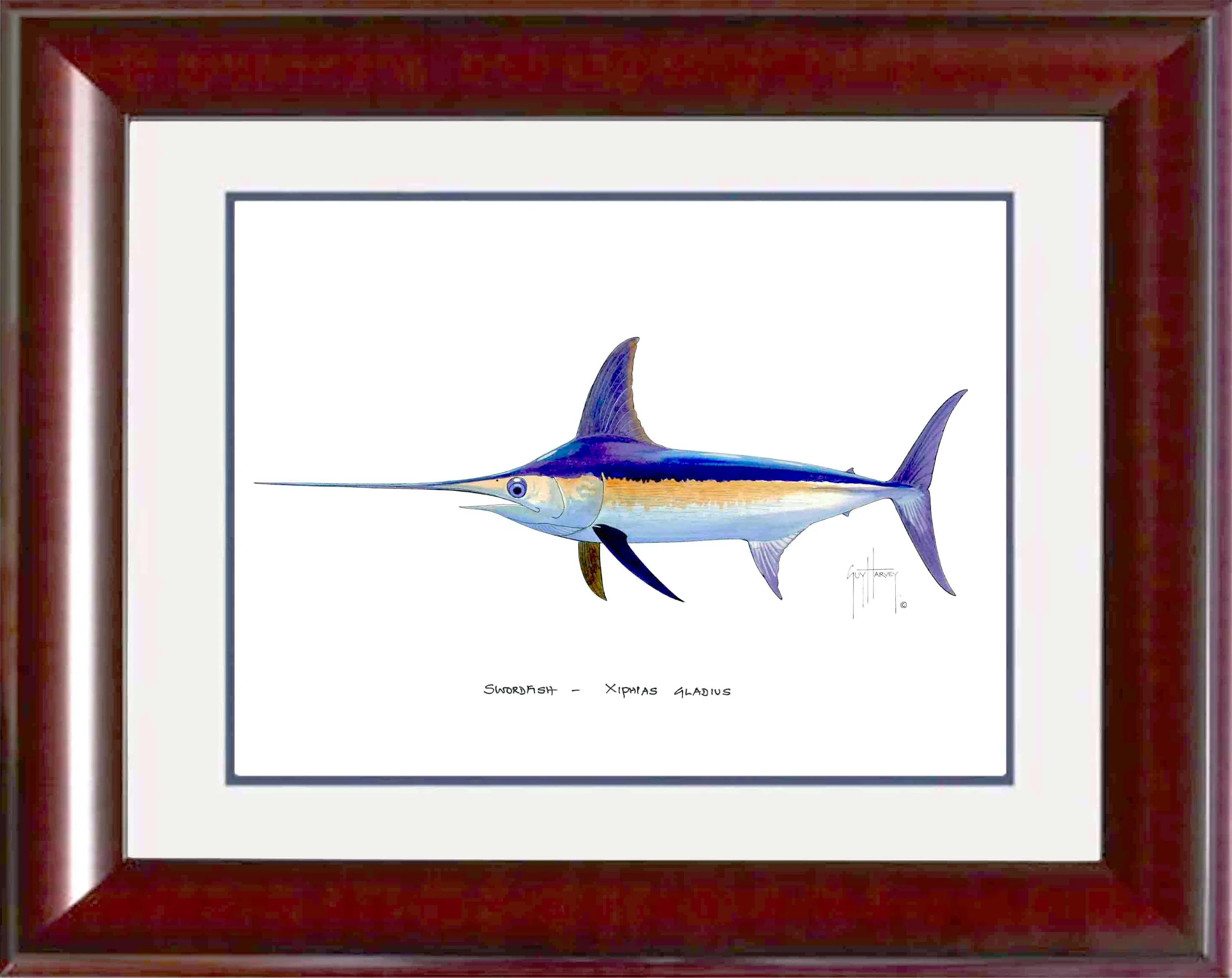 "Swordfish" Grande Mini Print