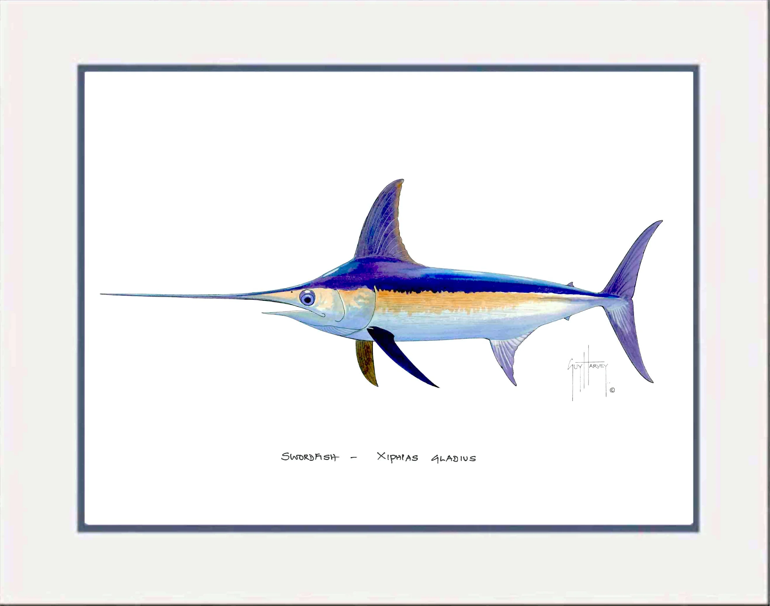 "Swordfish" Grande Mini Print - Image 2