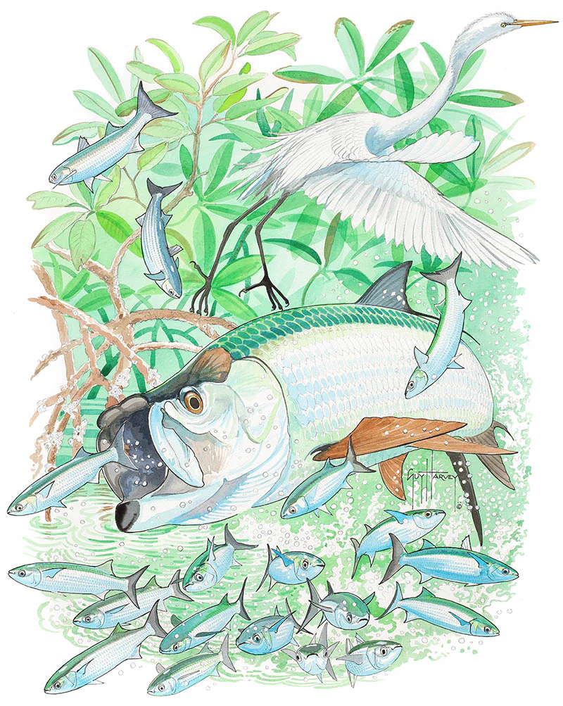 "Tarpon and Egret" Original